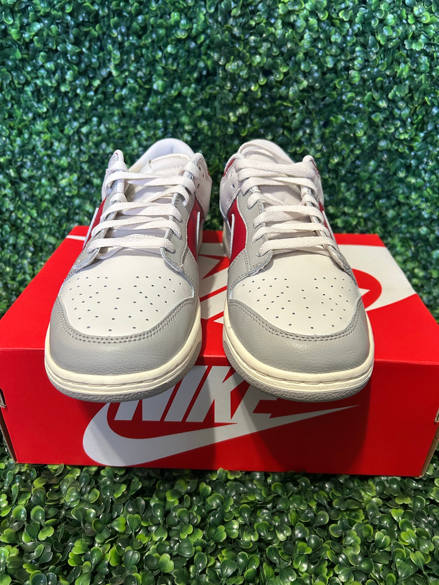 Nike dunk size 11