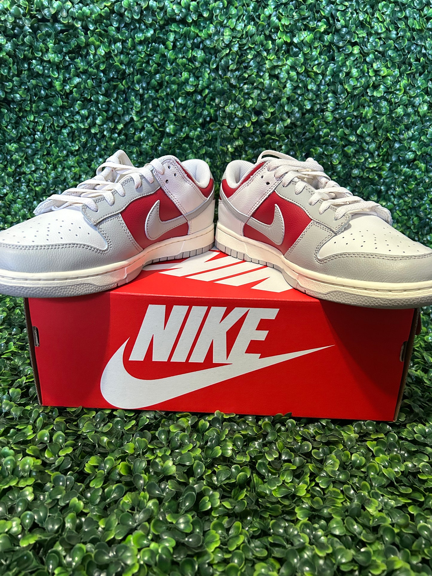 Nike dunk size 11