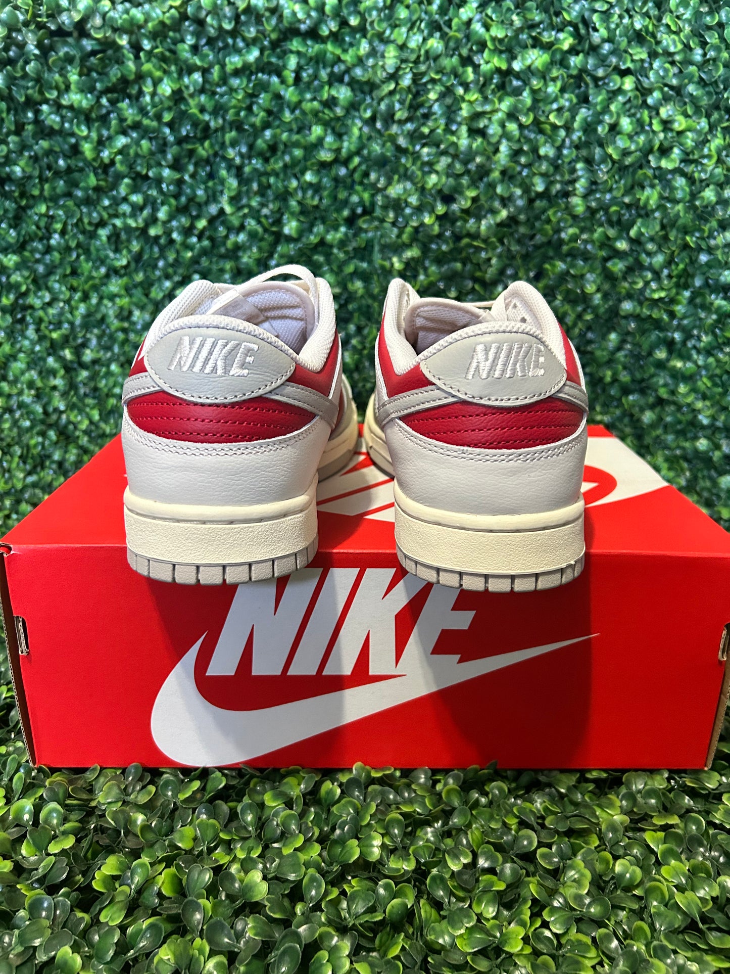 Nike dunk size 11