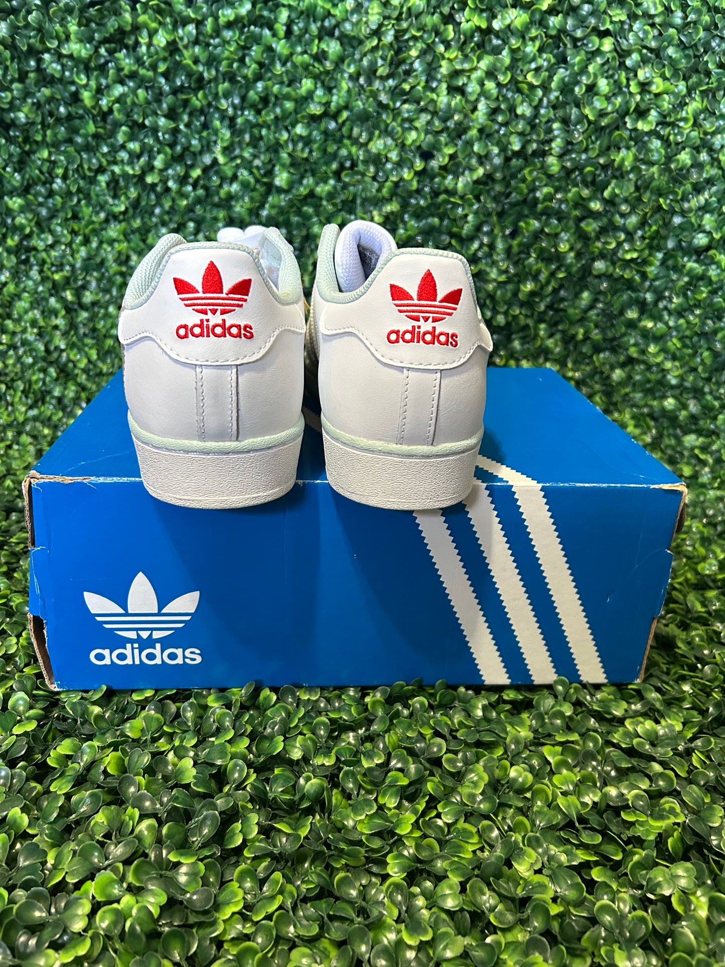 Adidas superstar size 11 size 12
