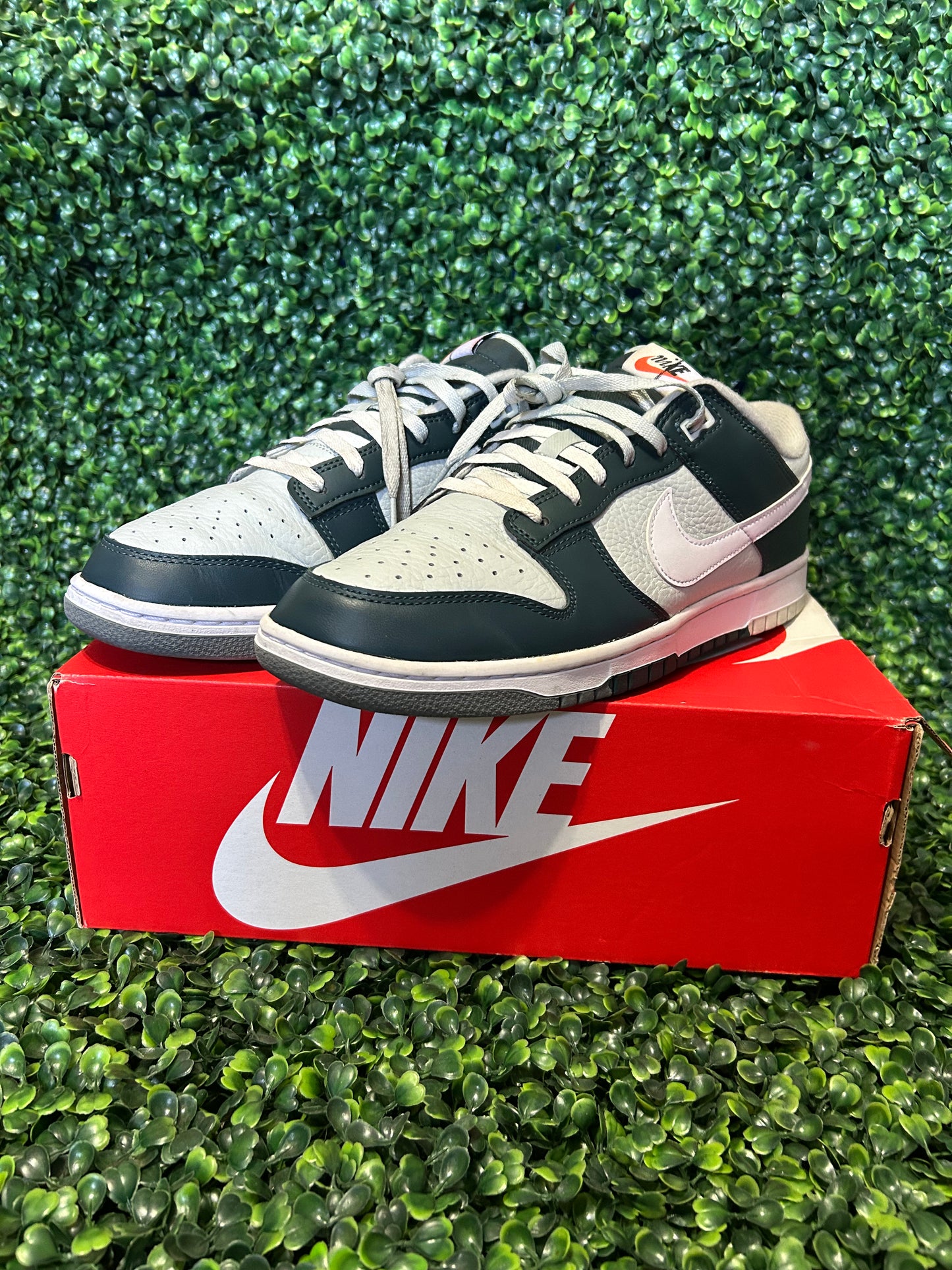 Nike dunk size 11.5