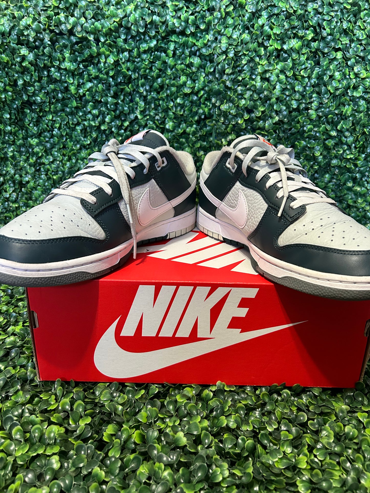 Nike dunk size 11.5