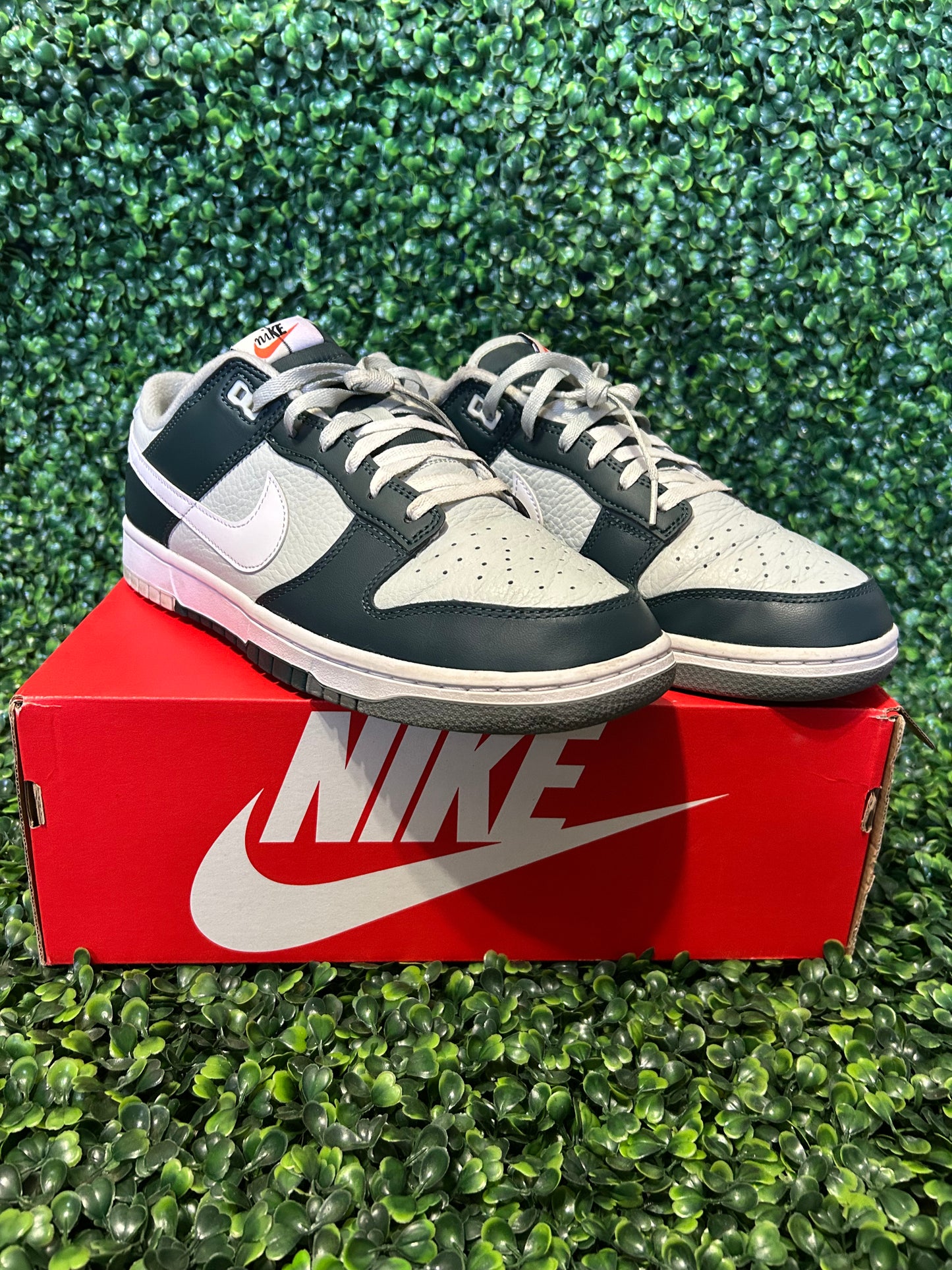Nike dunk size 11.5