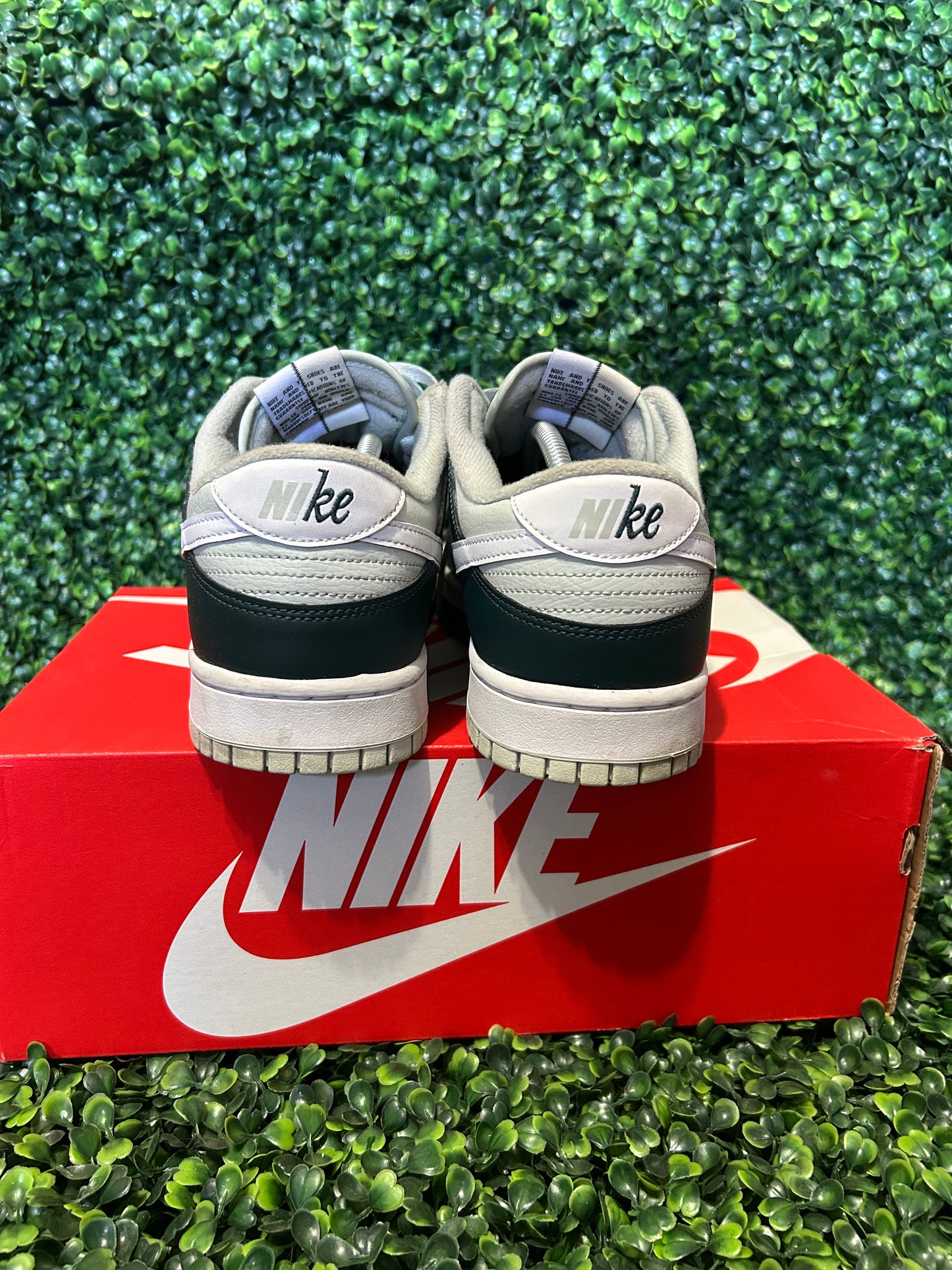 Nike dunk size 11.5