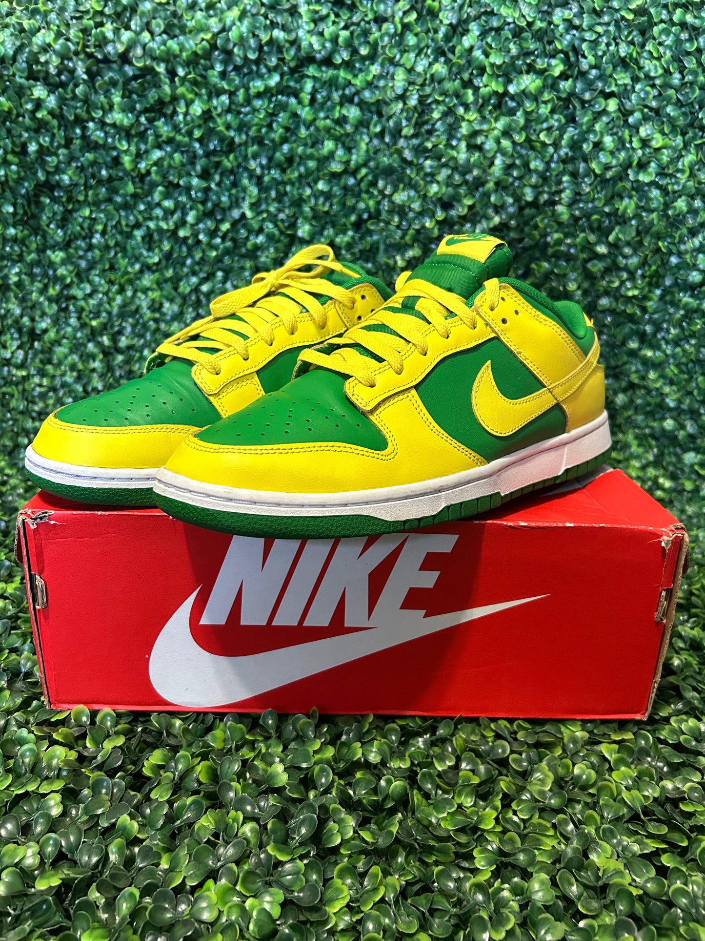 Nike dunk size 11.5