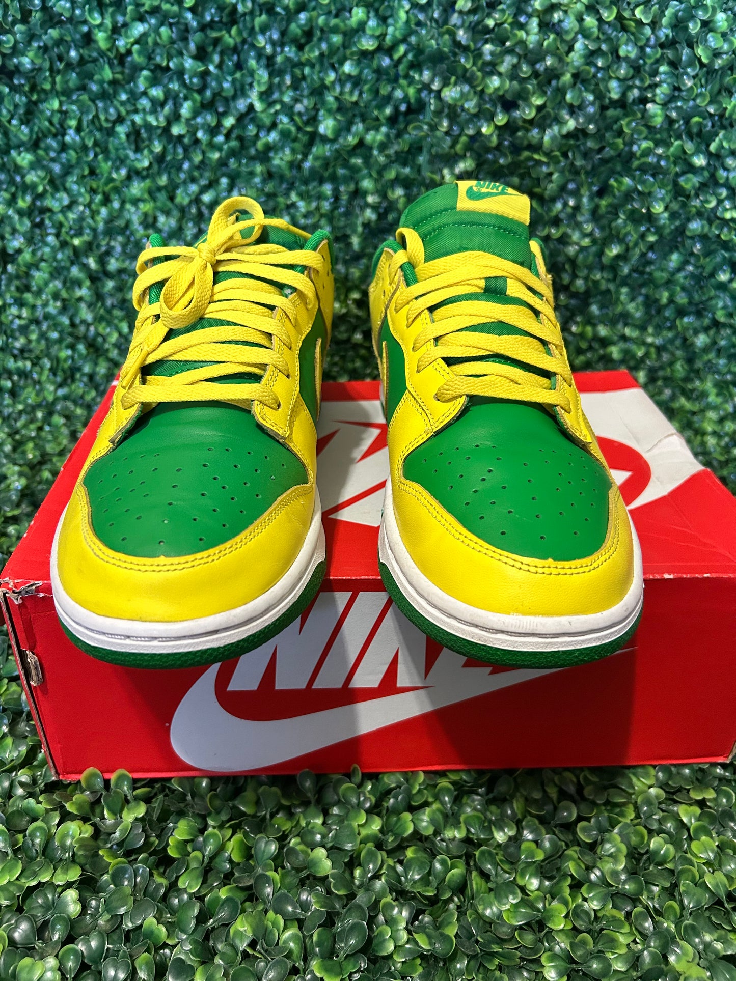 Nike dunk size 11.5