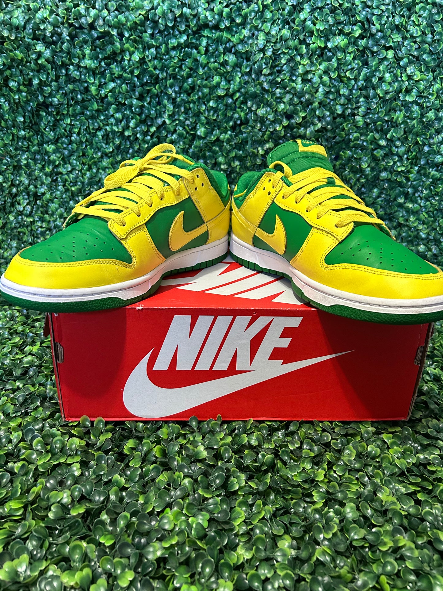Nike dunk size 11.5