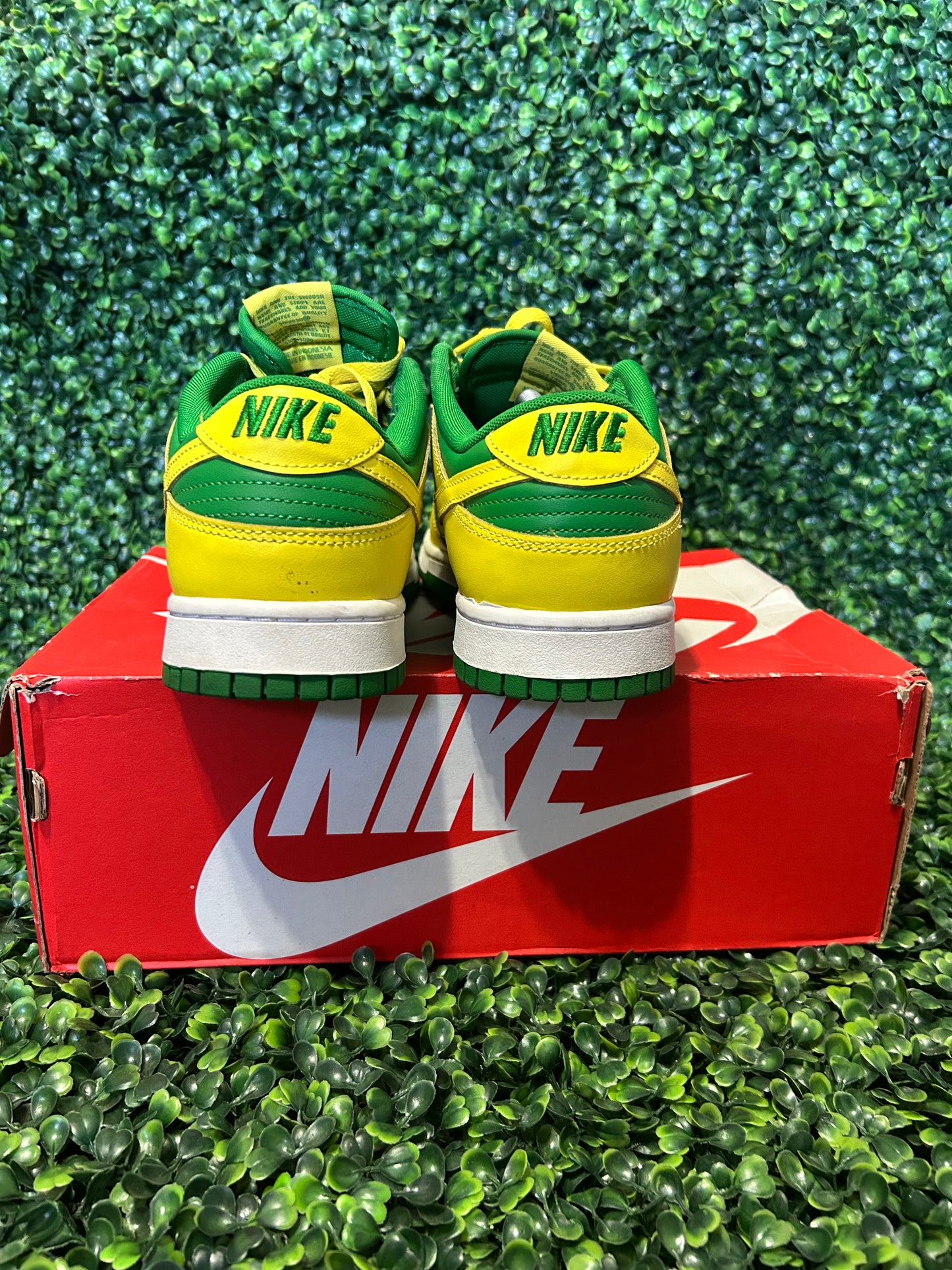 Nike dunk size 11.5