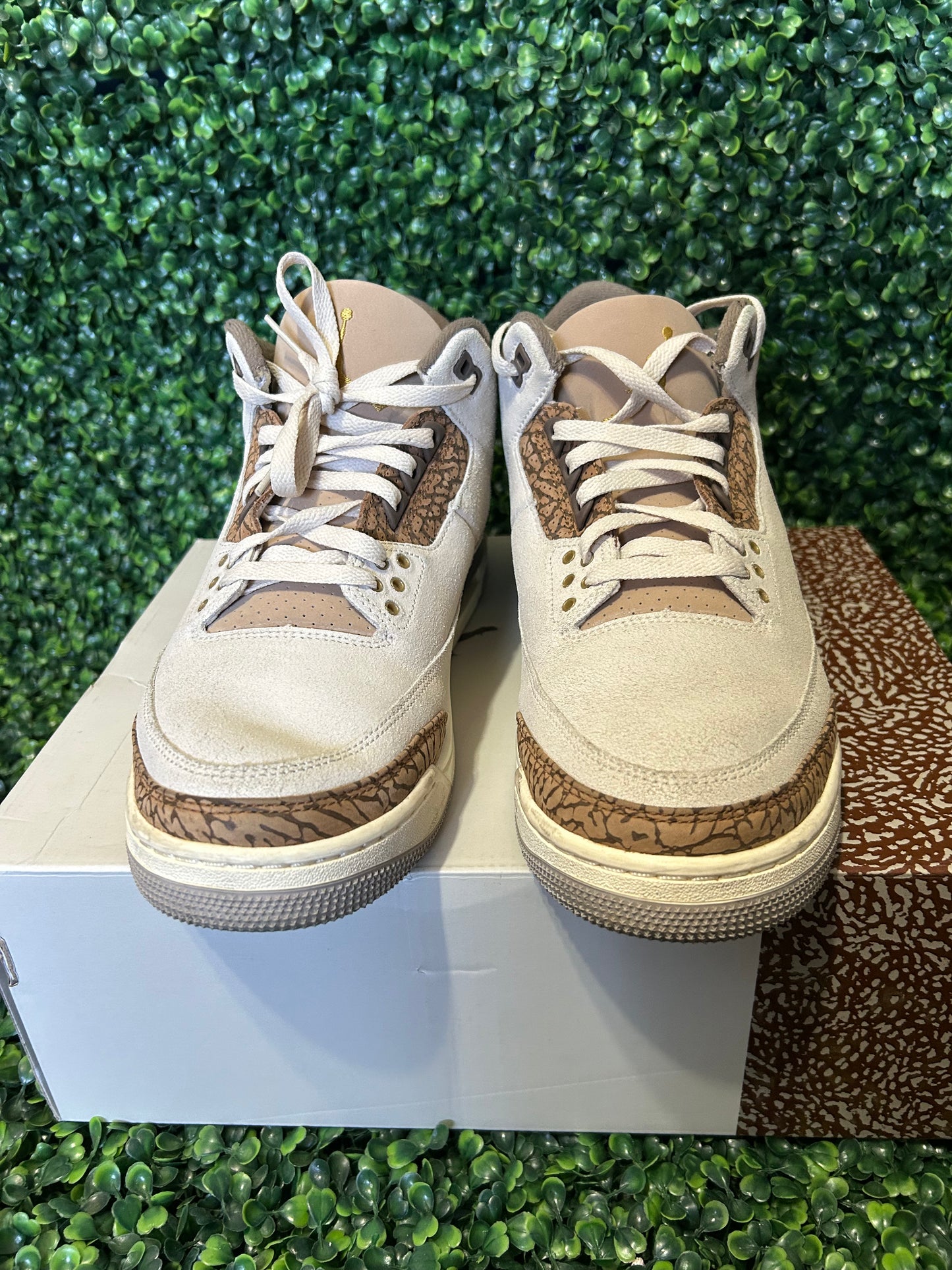 Jordan 3 size 12.5