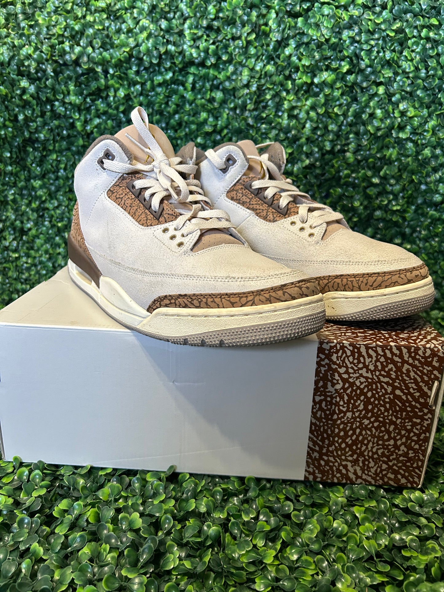Jordan 3 size 12.5