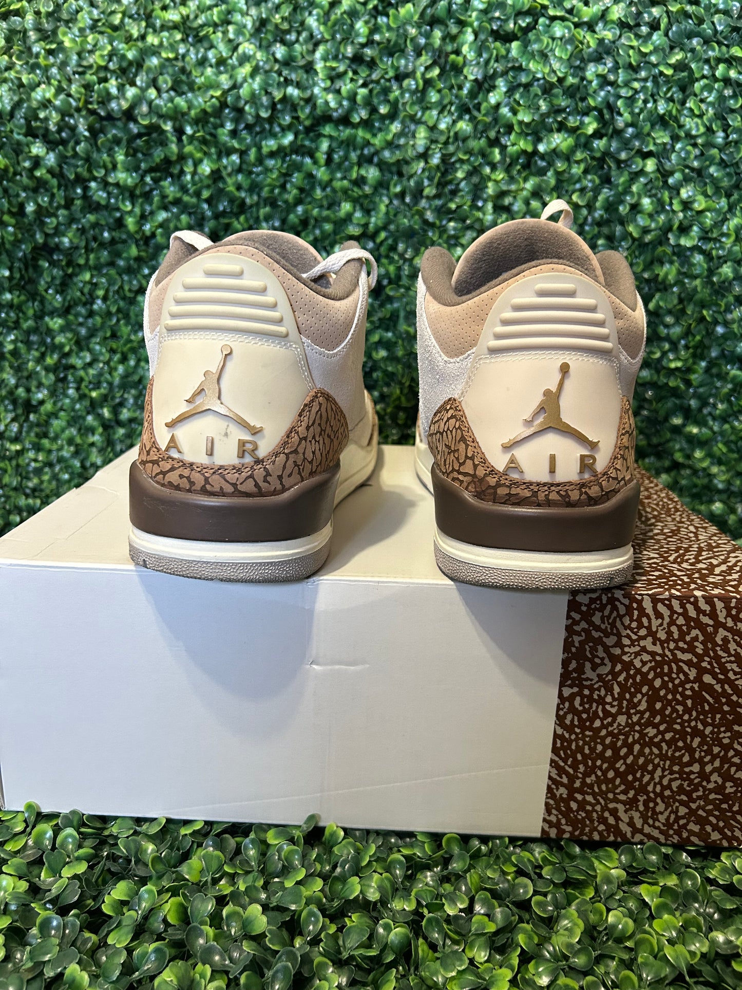 Jordan 3 size 12.5