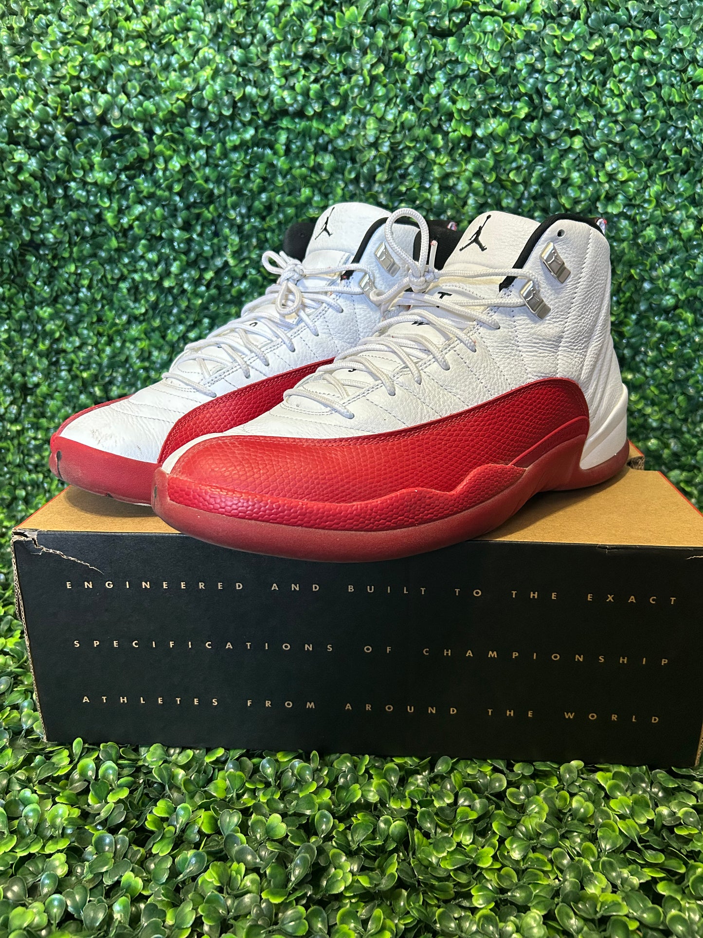 Jordan 12 size 12.5