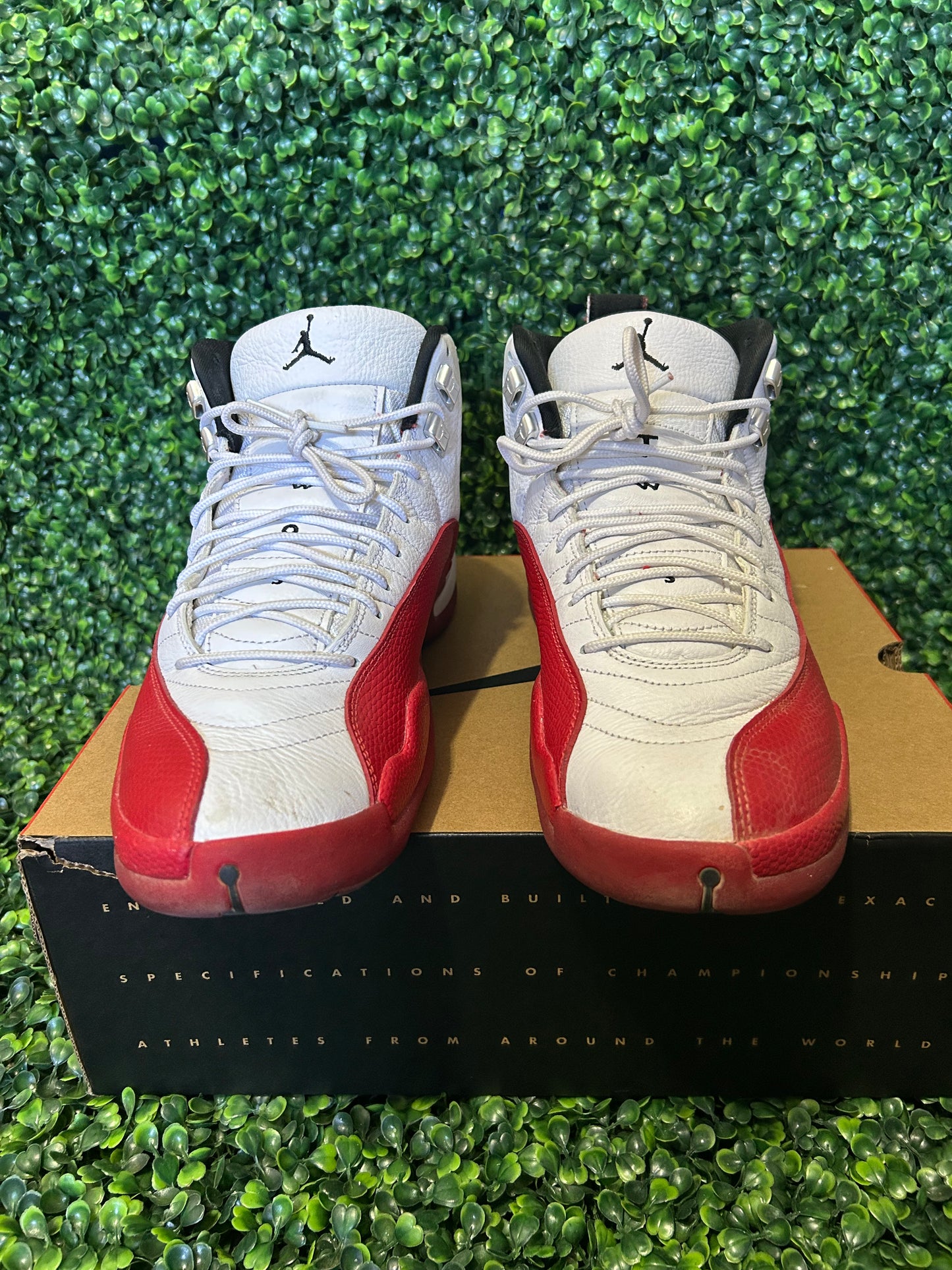 Jordan 12 size 12.5