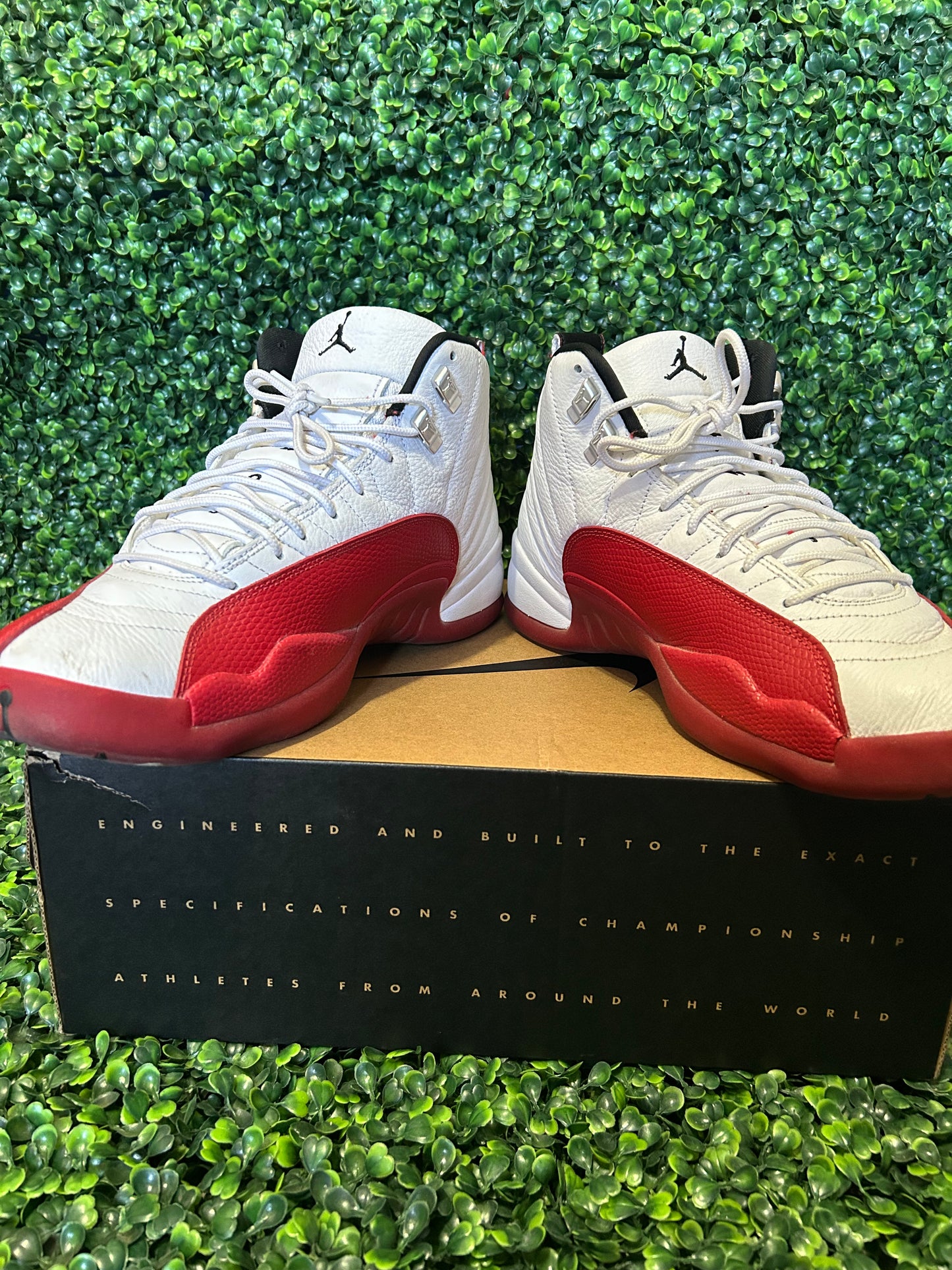 Jordan 12 size 12.5