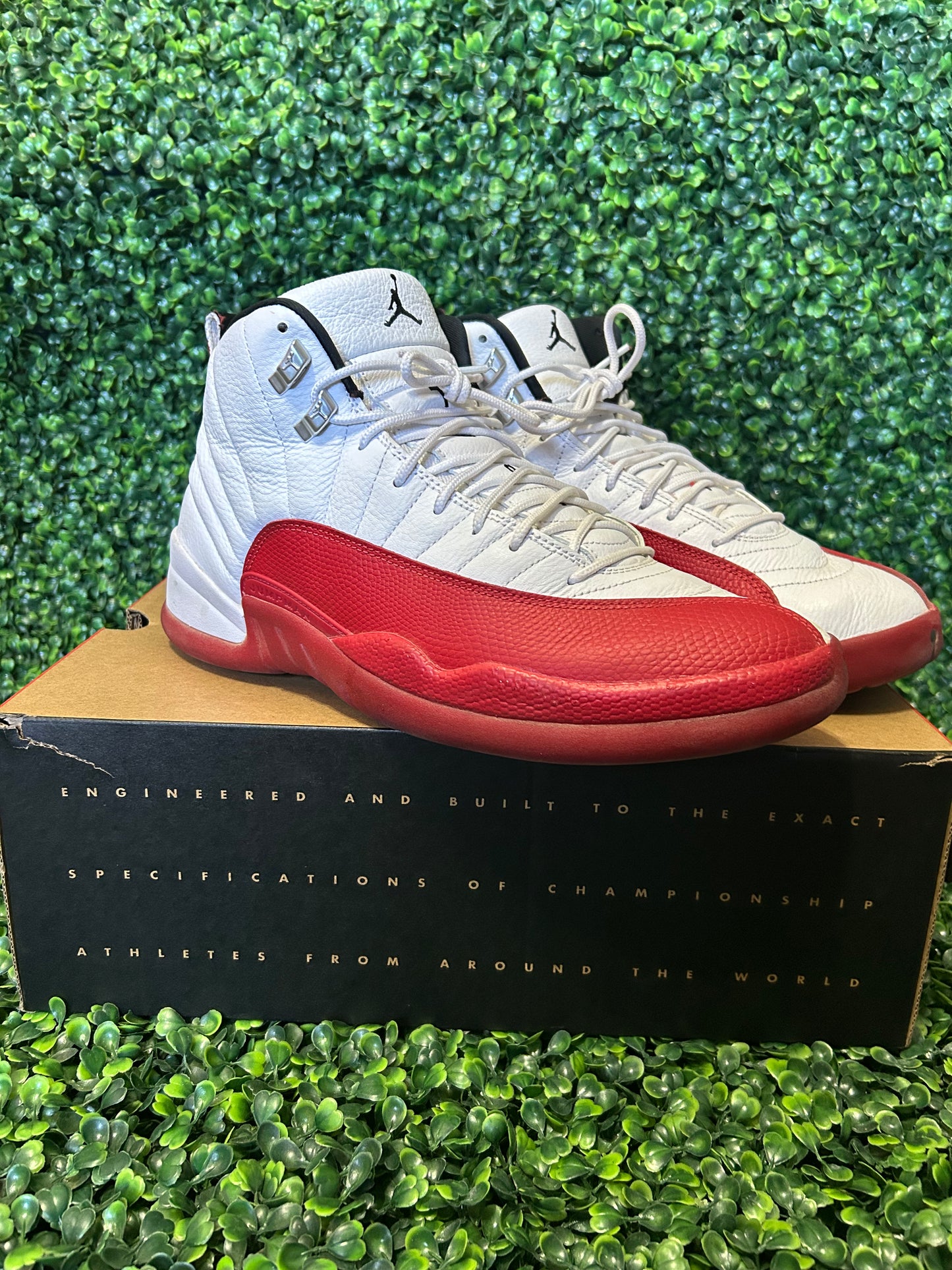 Jordan 12 size 12.5