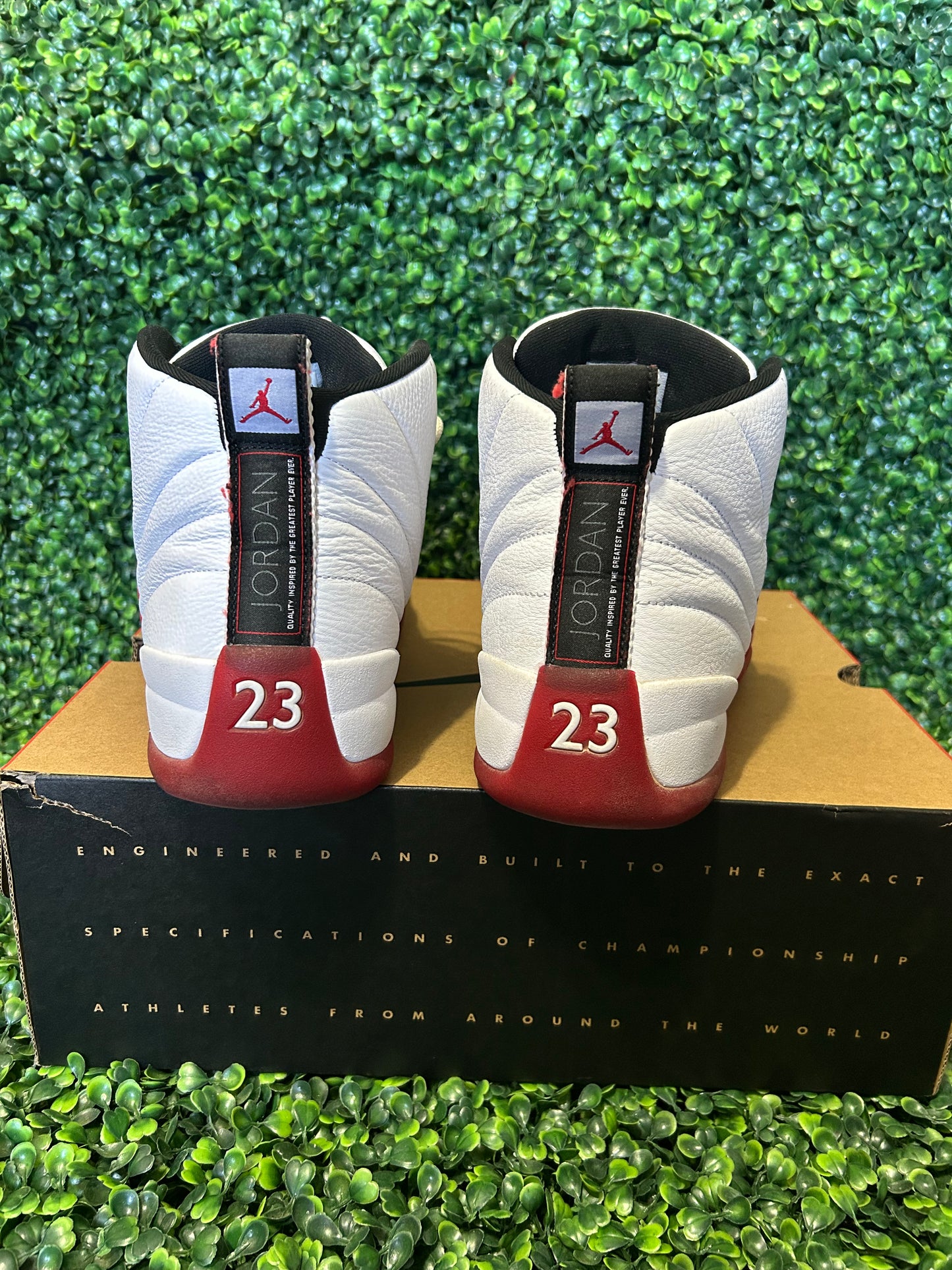 Jordan 12 size 12.5