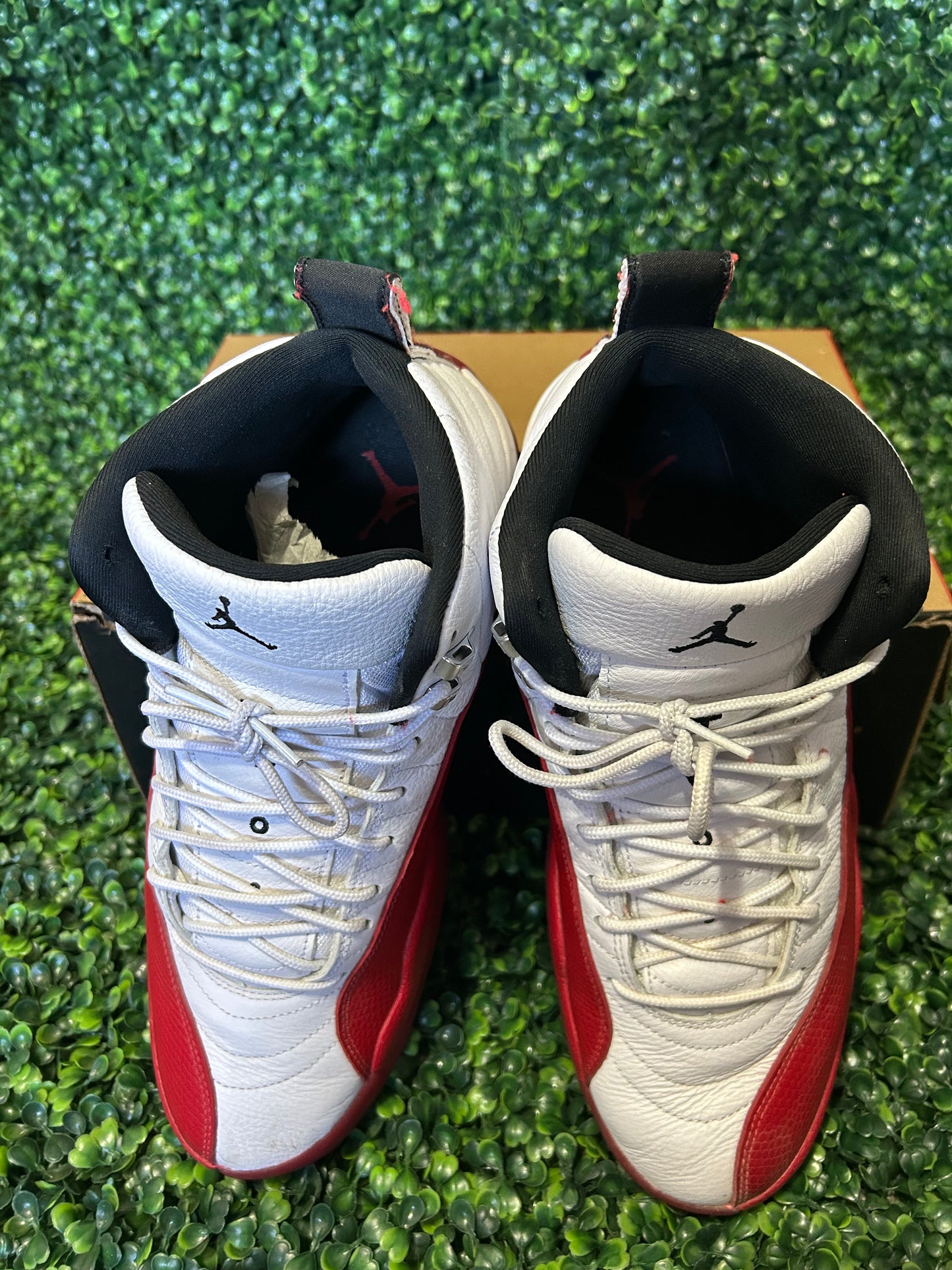 Jordan 12 size 12.5