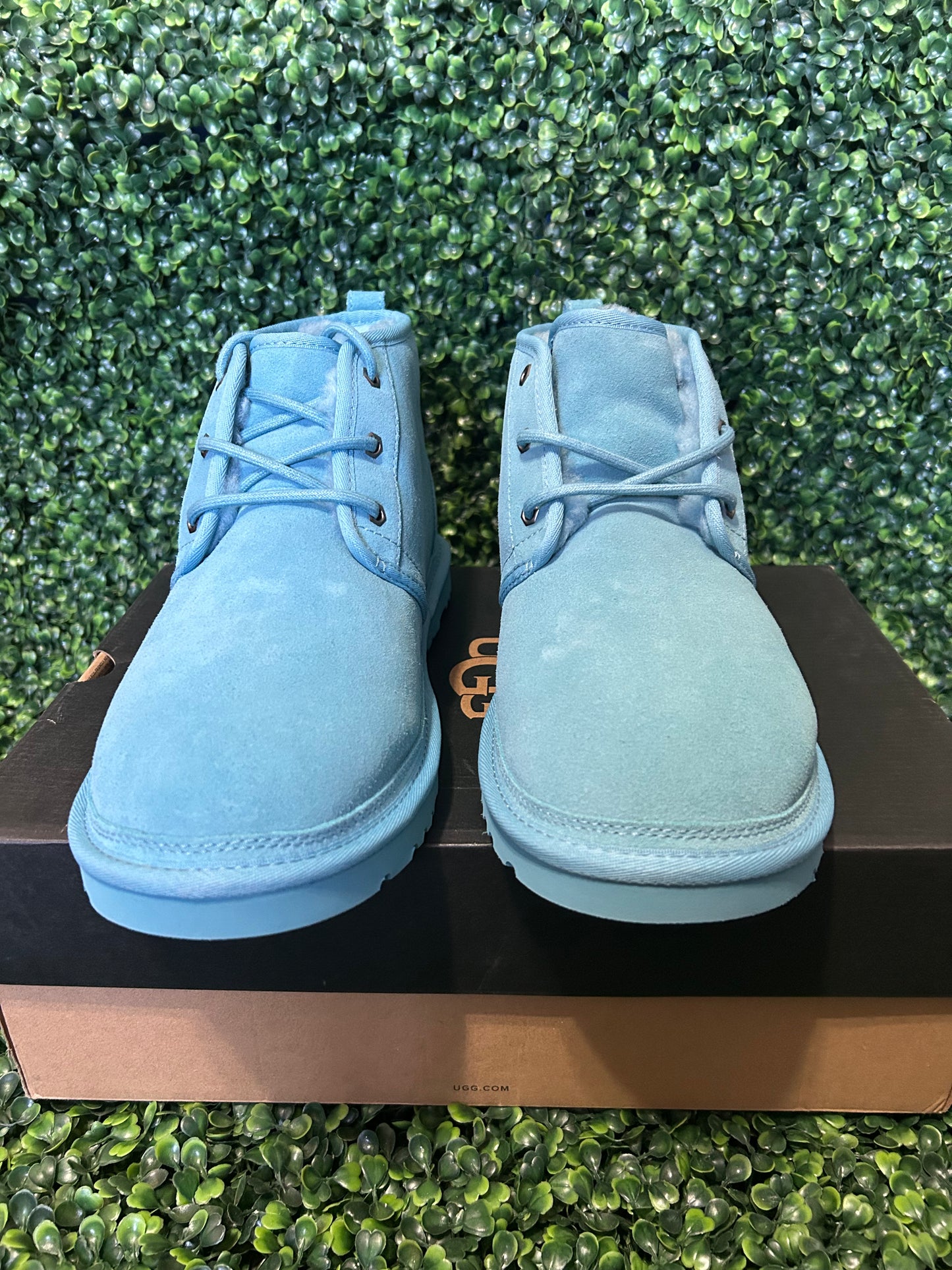 UGGS size 12m