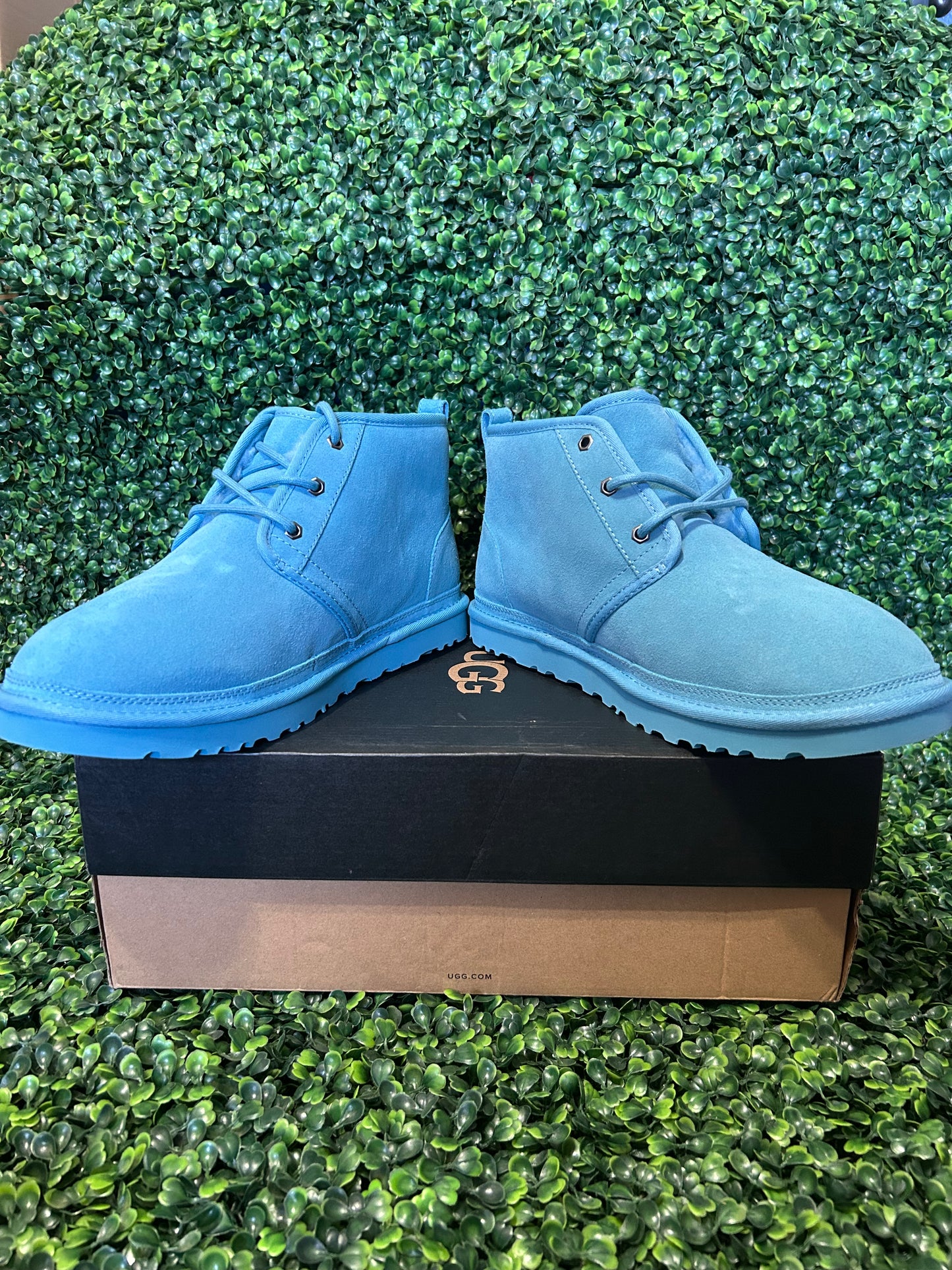 UGGS size 12m