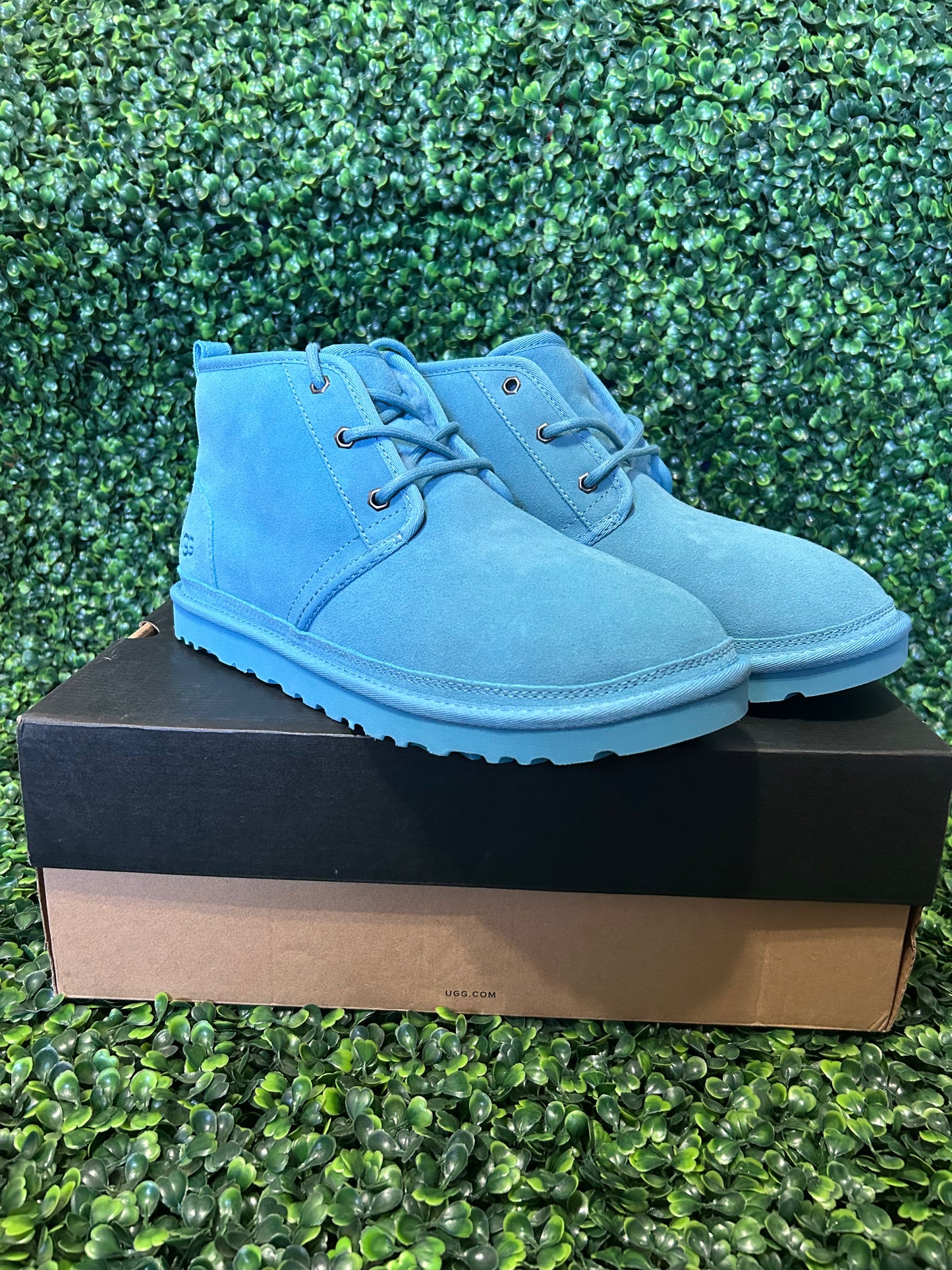 UGGS size 12m
