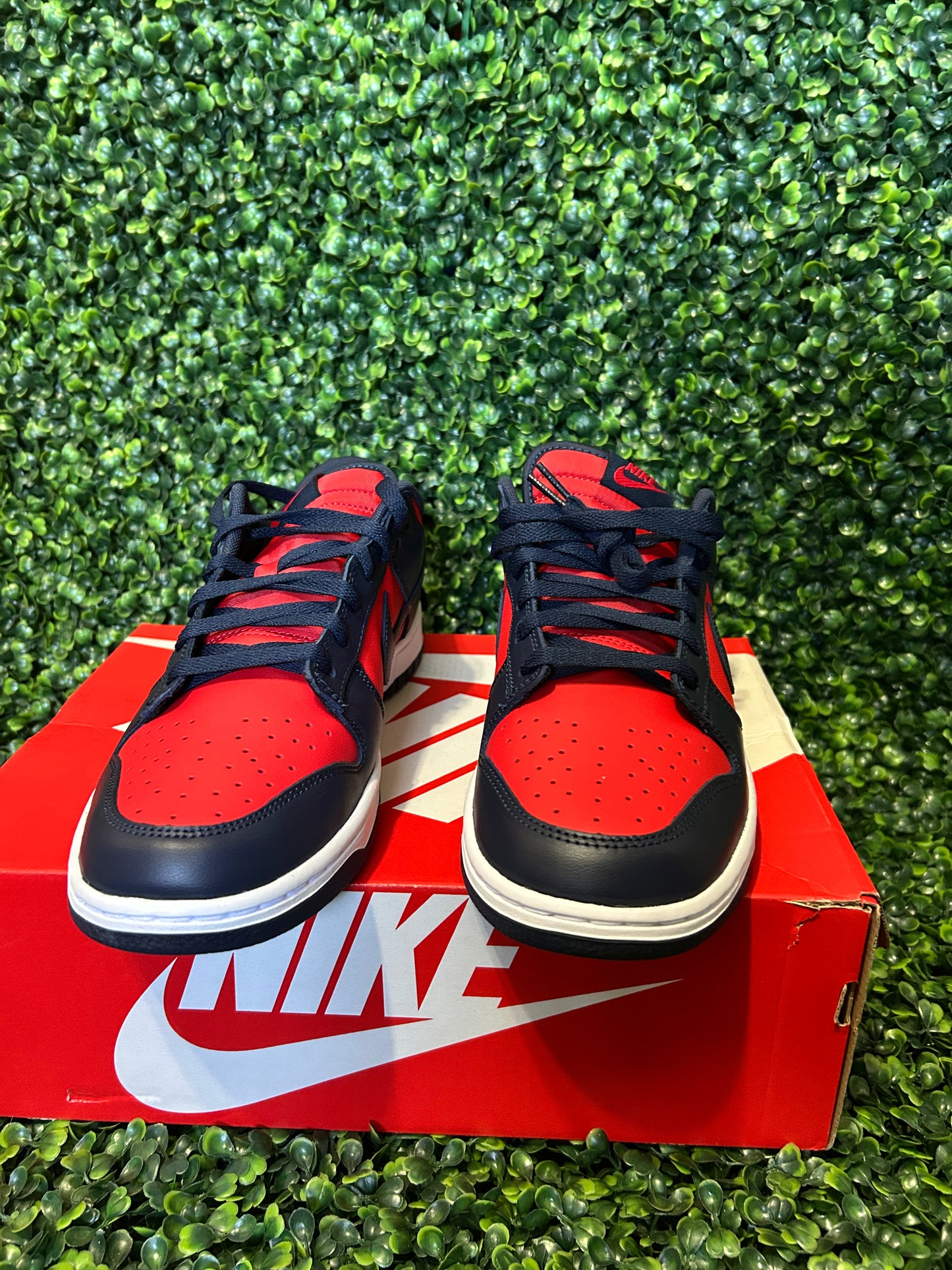 Nike dunk size 10 size 12