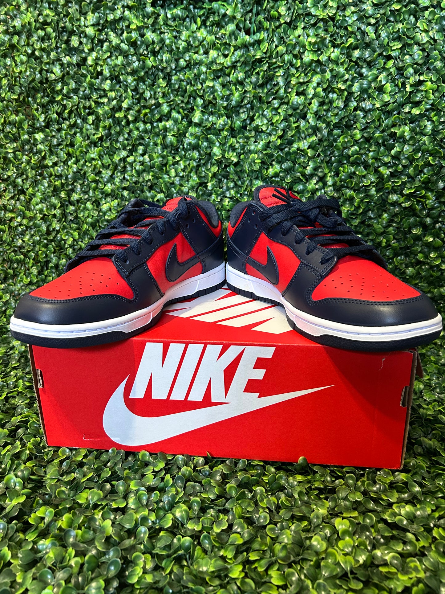 Nike dunk size 10 size 12