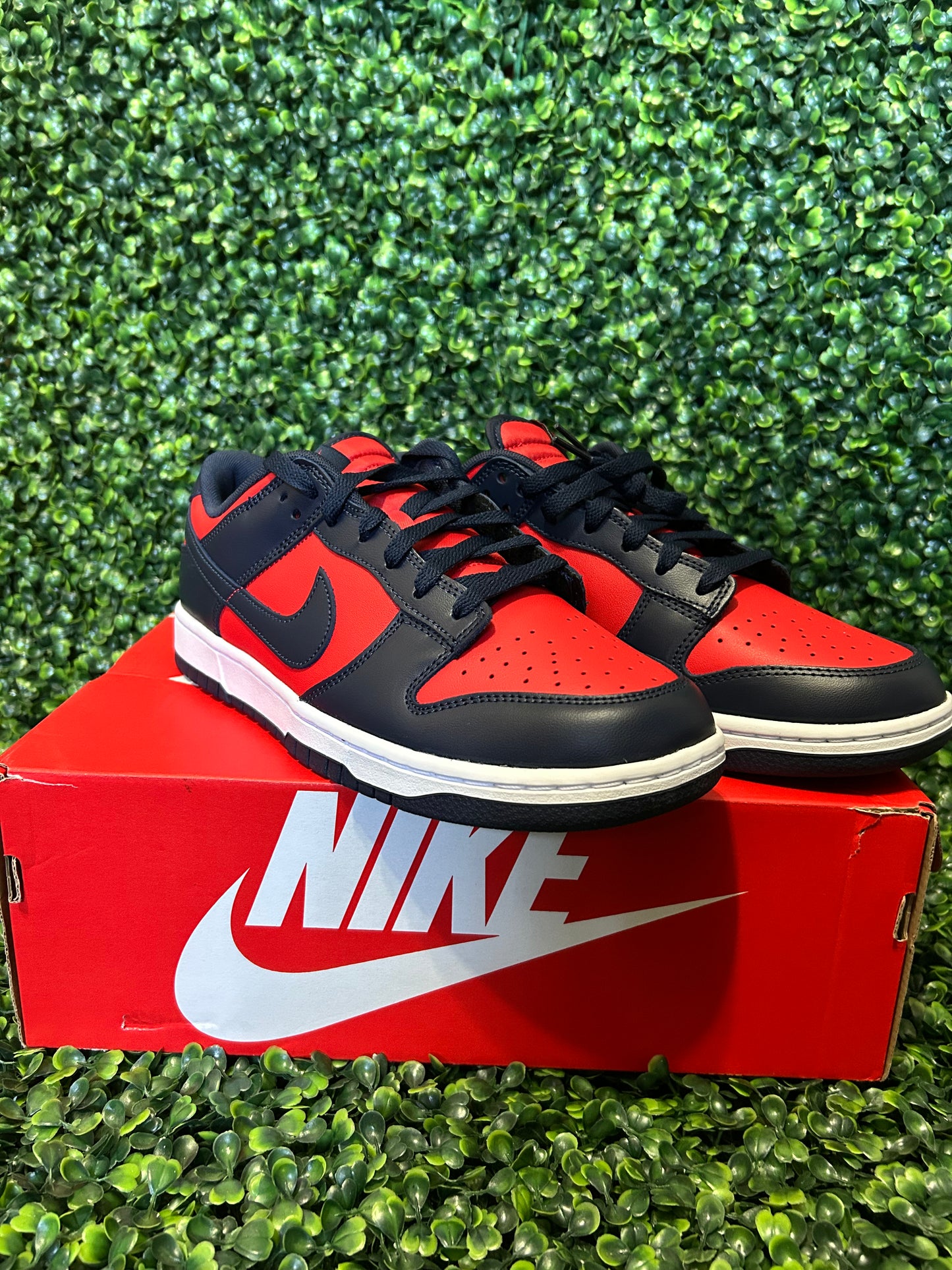 Nike dunk size 10 size 12