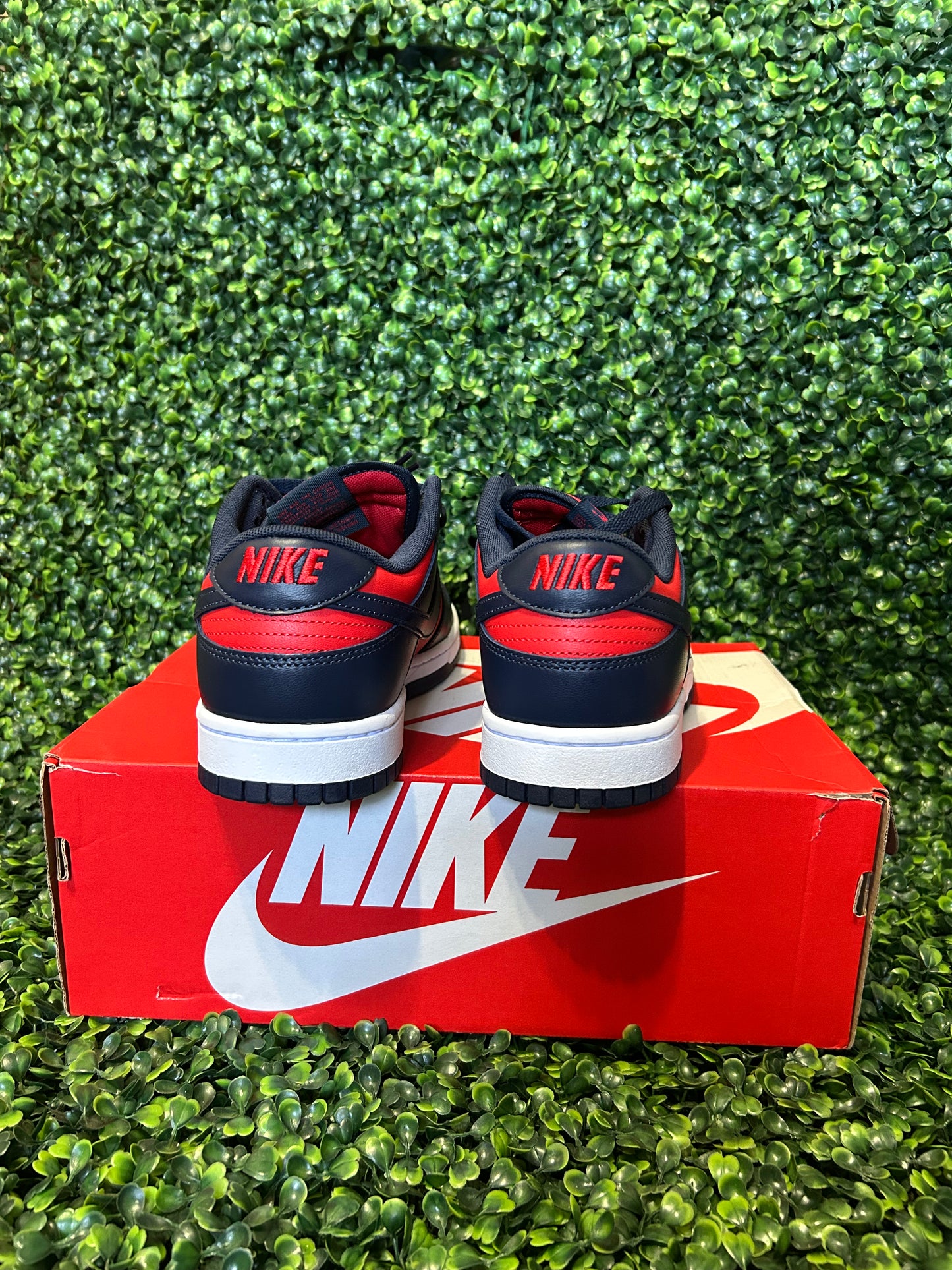 Nike dunk size 10 size 12