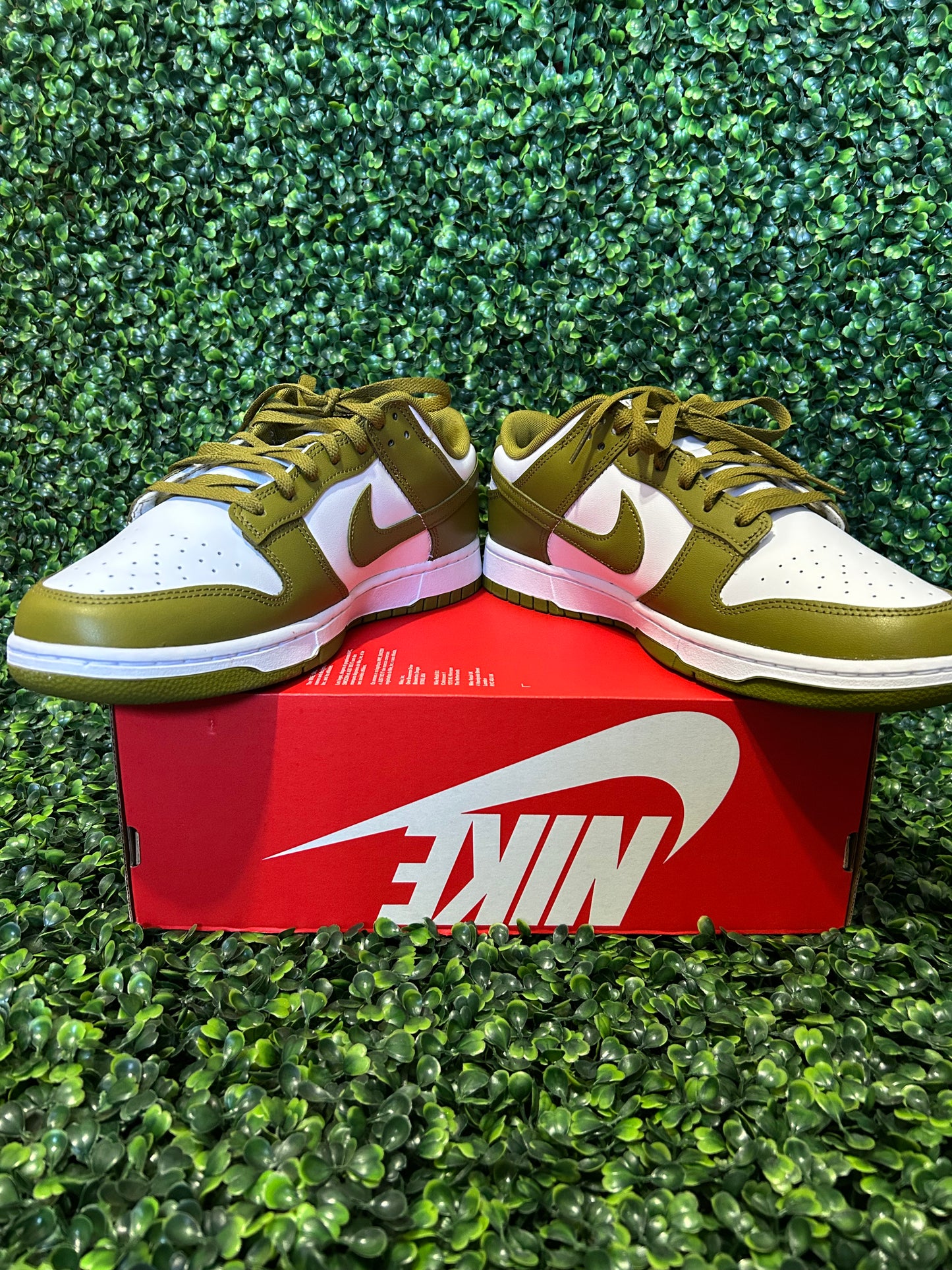 Nike dunk size 12