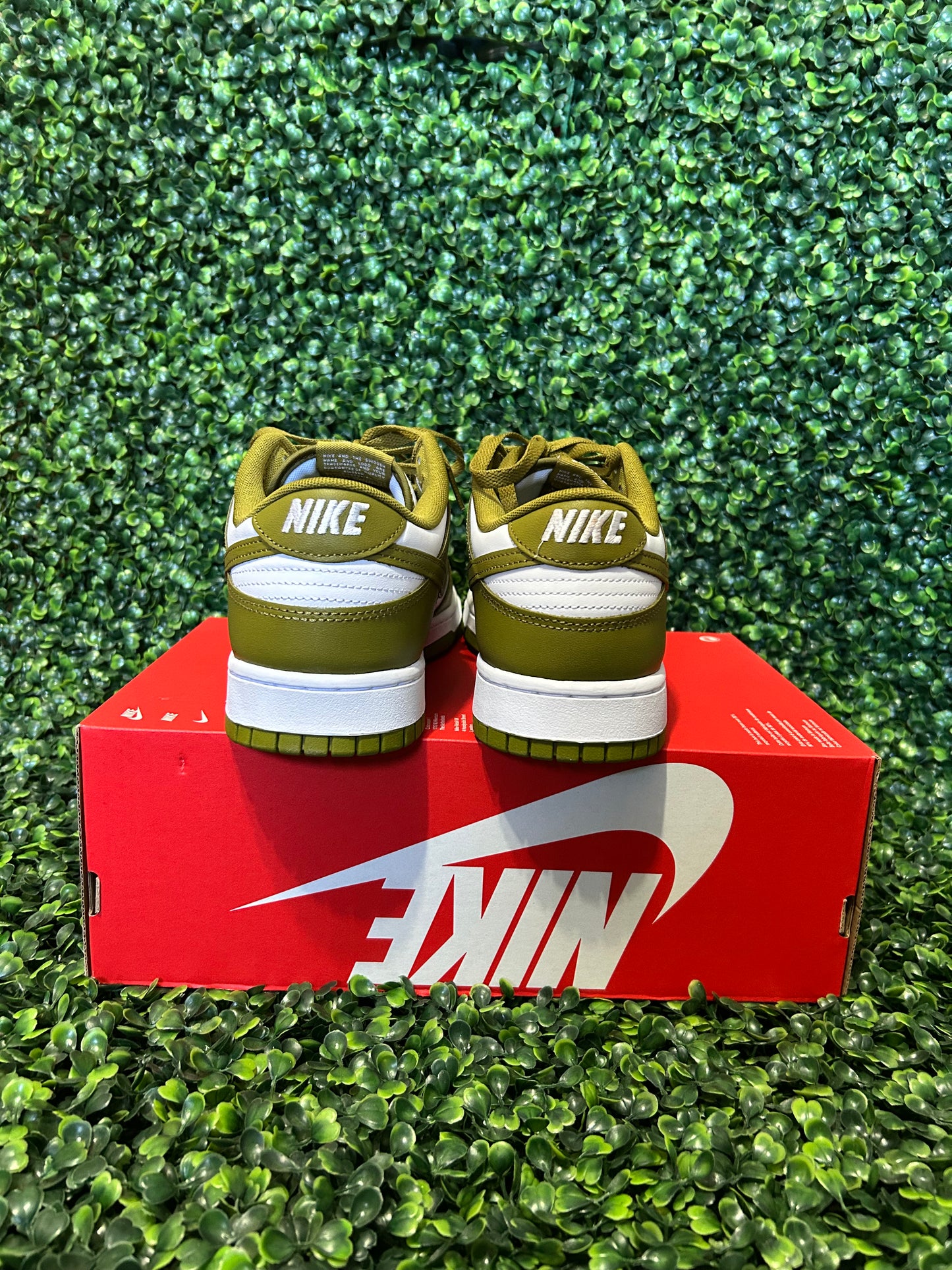 Nike dunk size 12