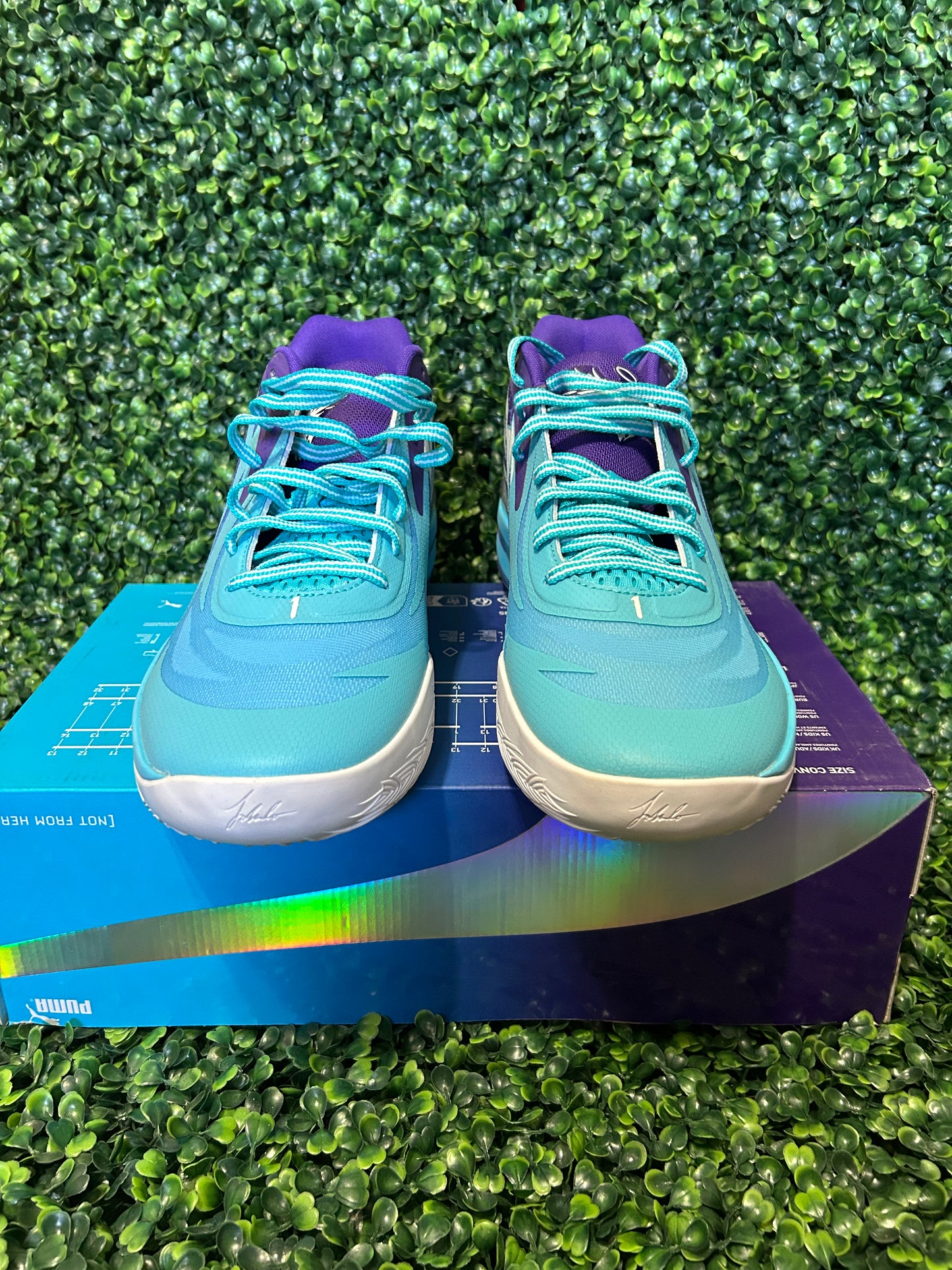 Puma size 13