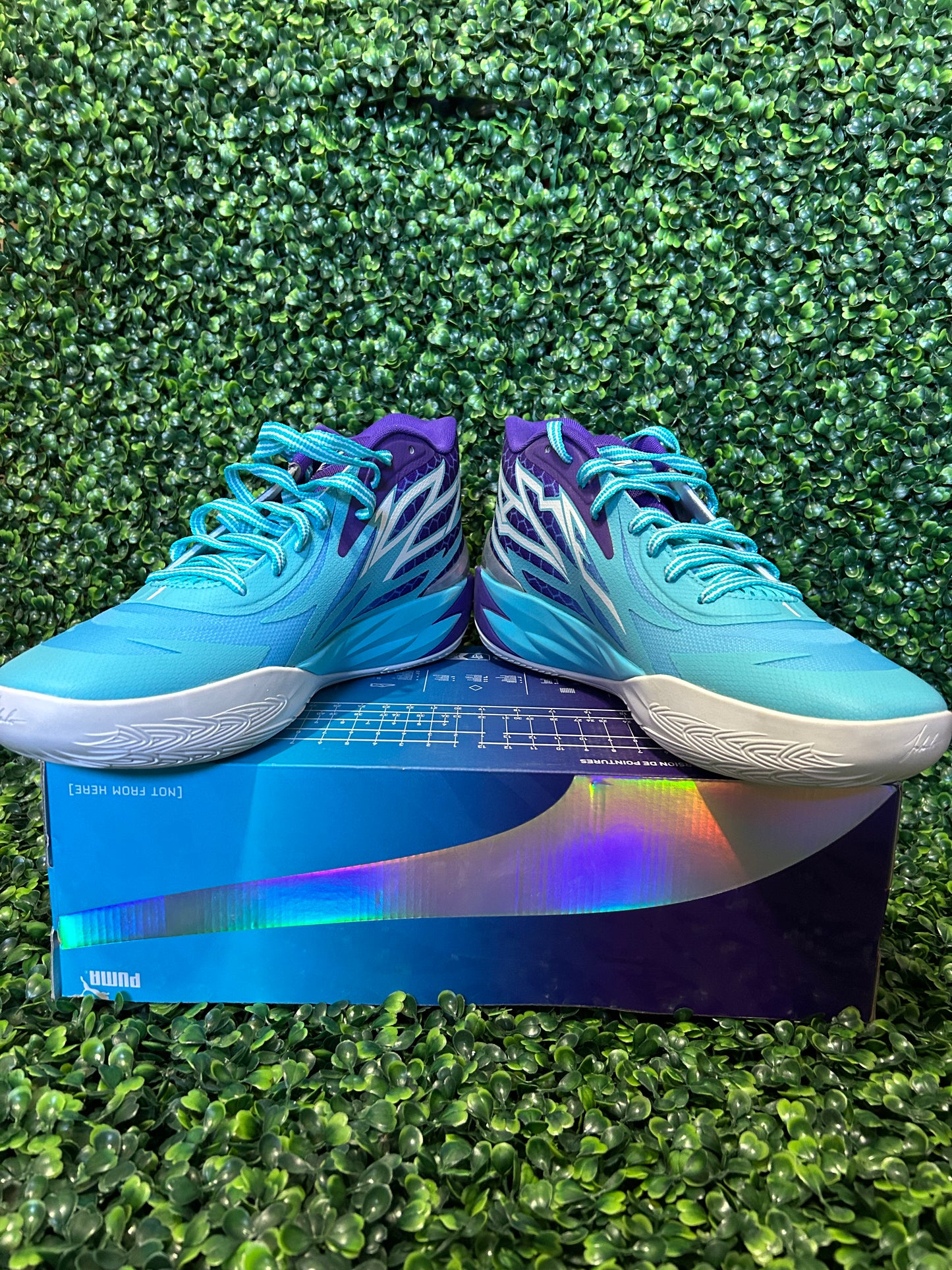 Puma size 13