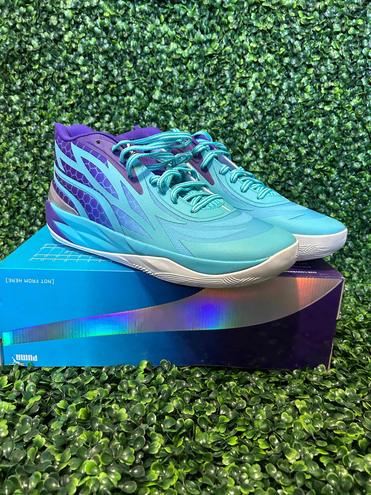 Puma size 13