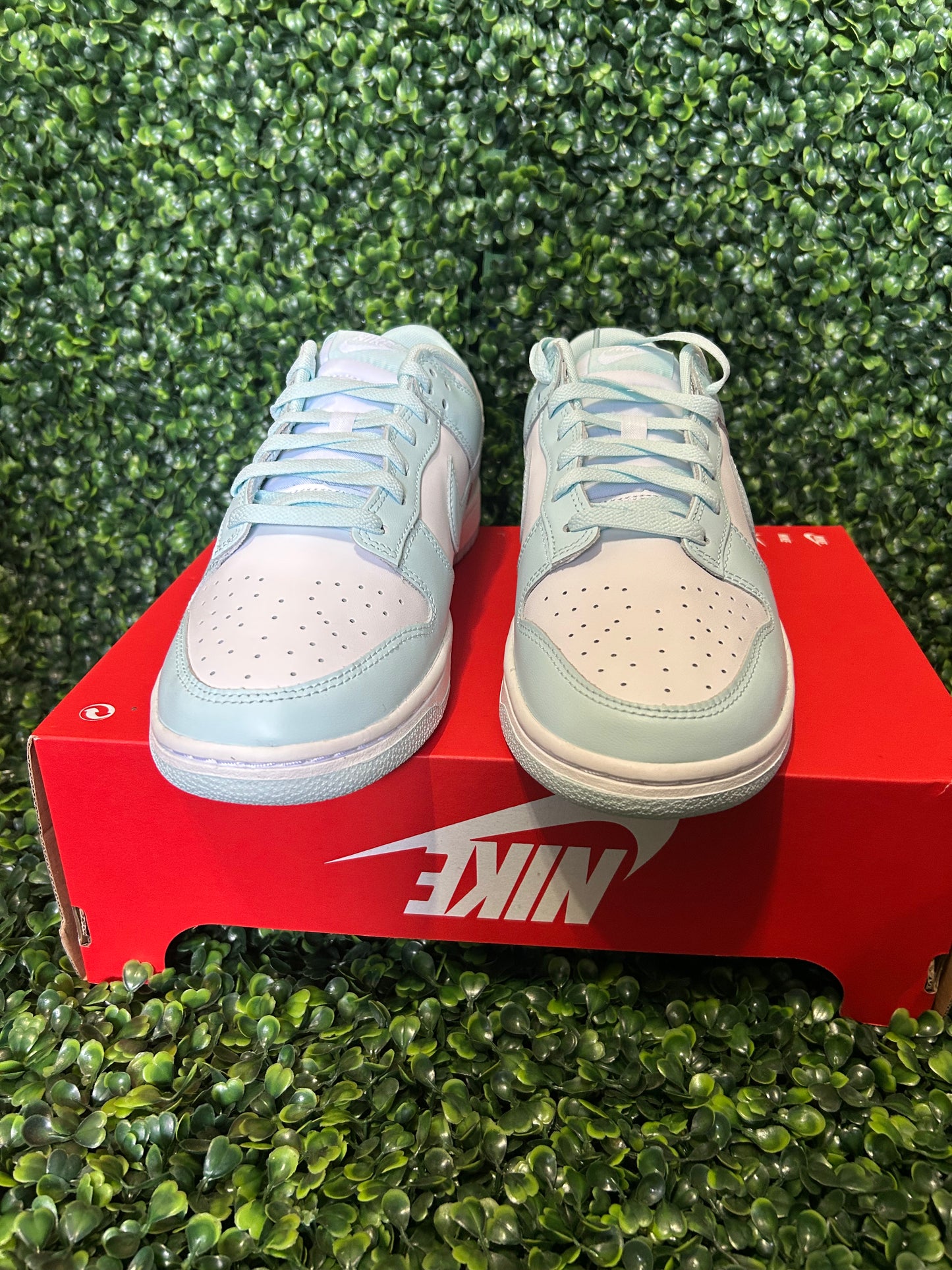 Nike dunk size 11