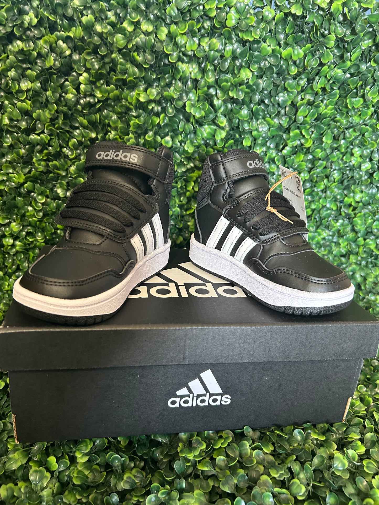 Adidas hoop mid size 7k/8k