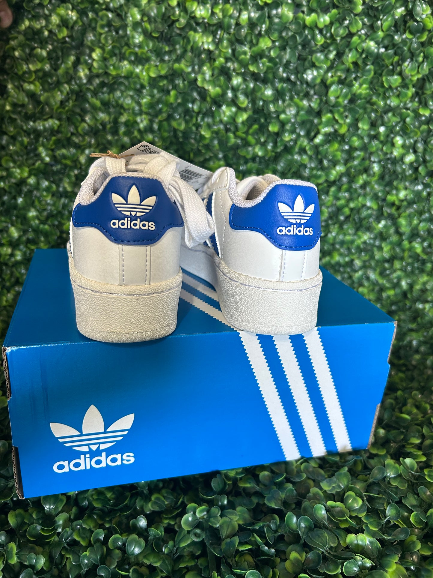 Adidas superstar size 3/11k/12k