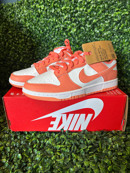 Nike dunk size 10