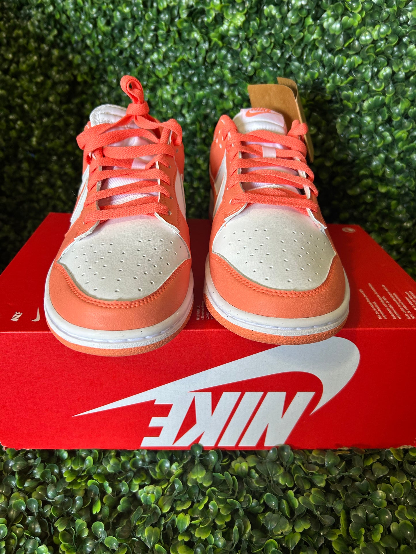 Nike dunk size 10