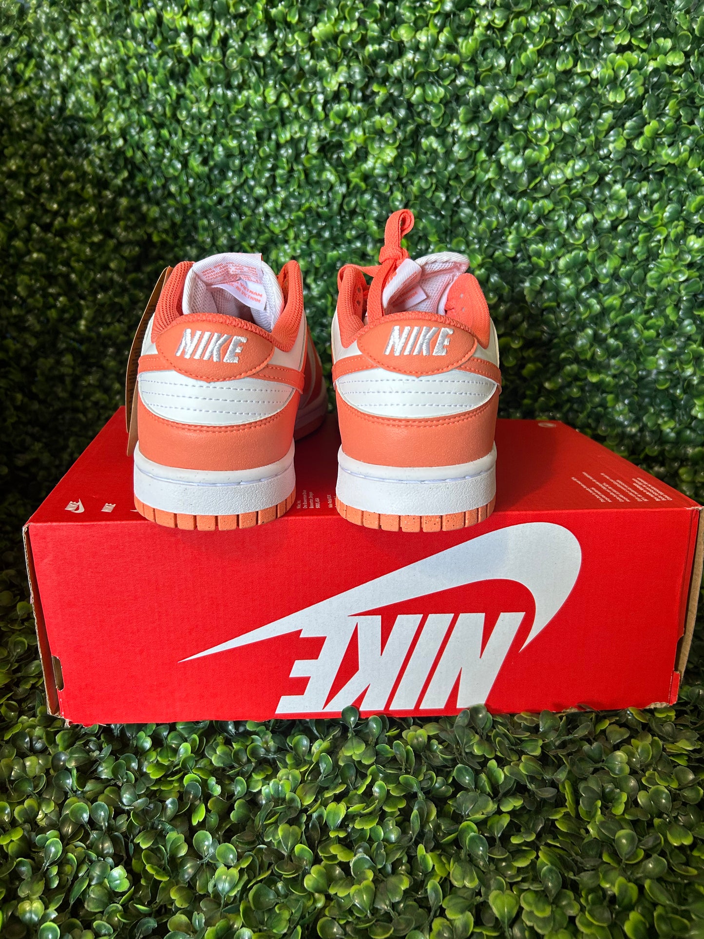 Nike dunk size 10