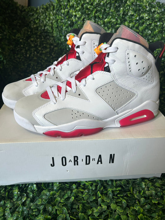 Air Jordan 6 size 10