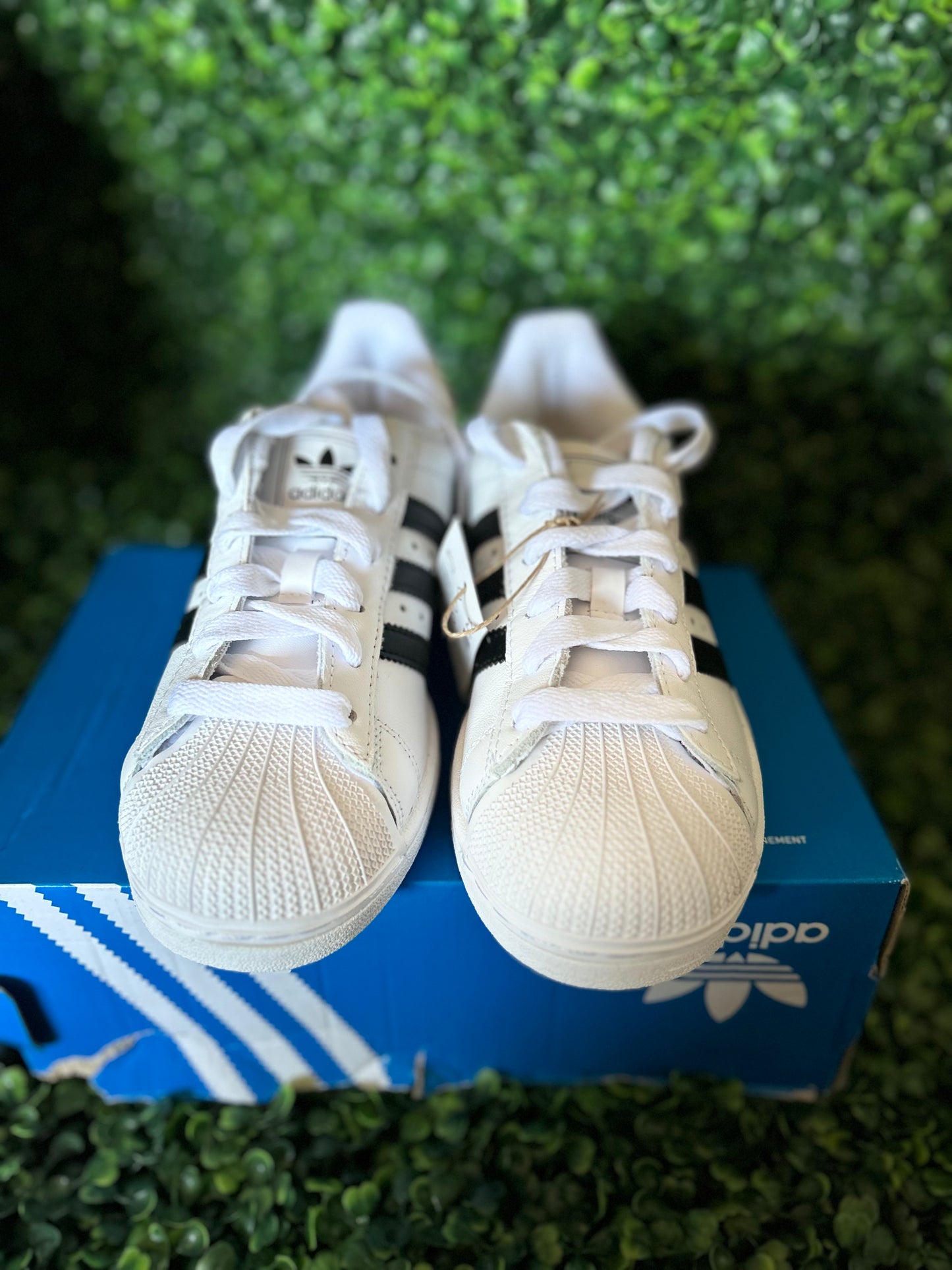 Adidas superstar size 5.5 wmns
