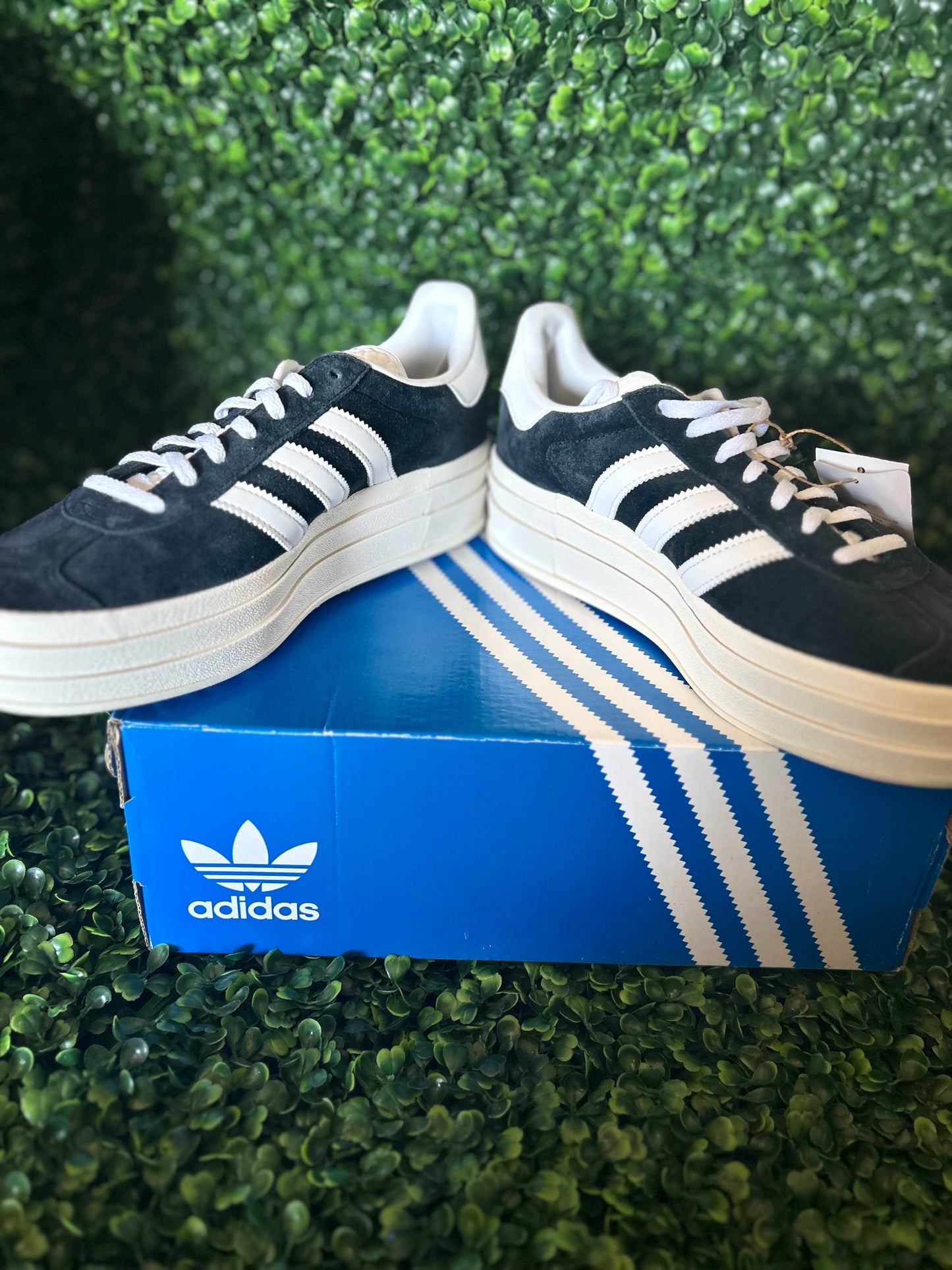 Adidas gazelle bold size 9wmns