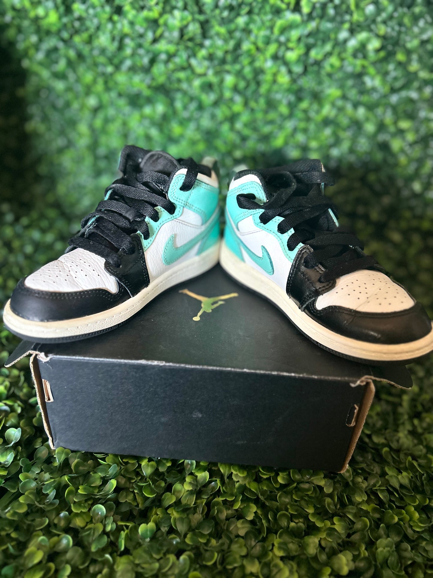 Jordan 1 size 12c
