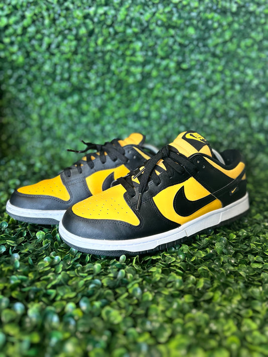 Nike dunk size 10