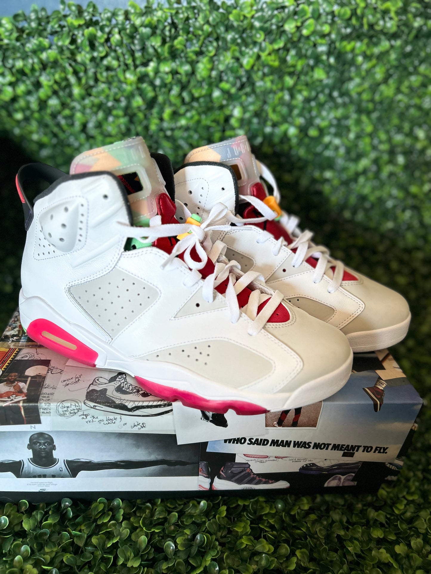 Jordan 6 hare size 10