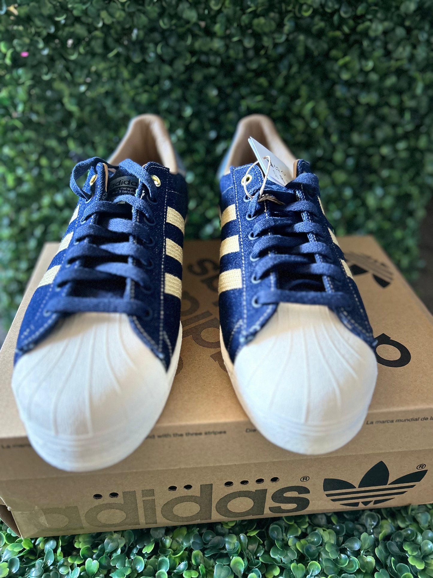 Adidas superstar