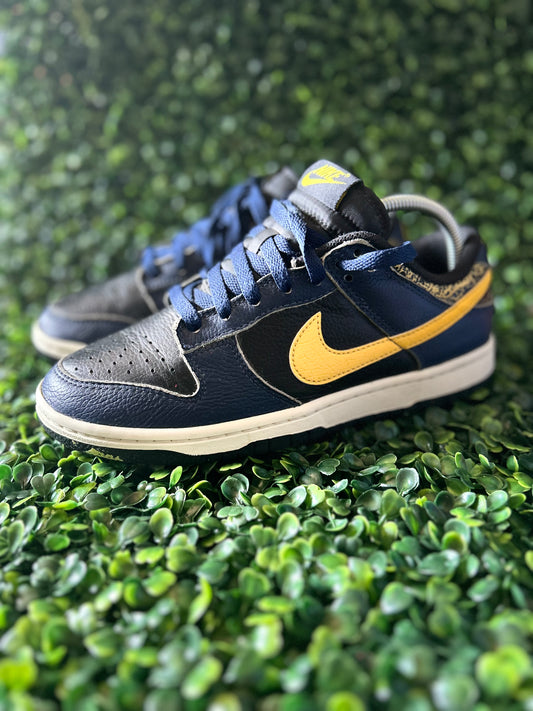Nike dunk