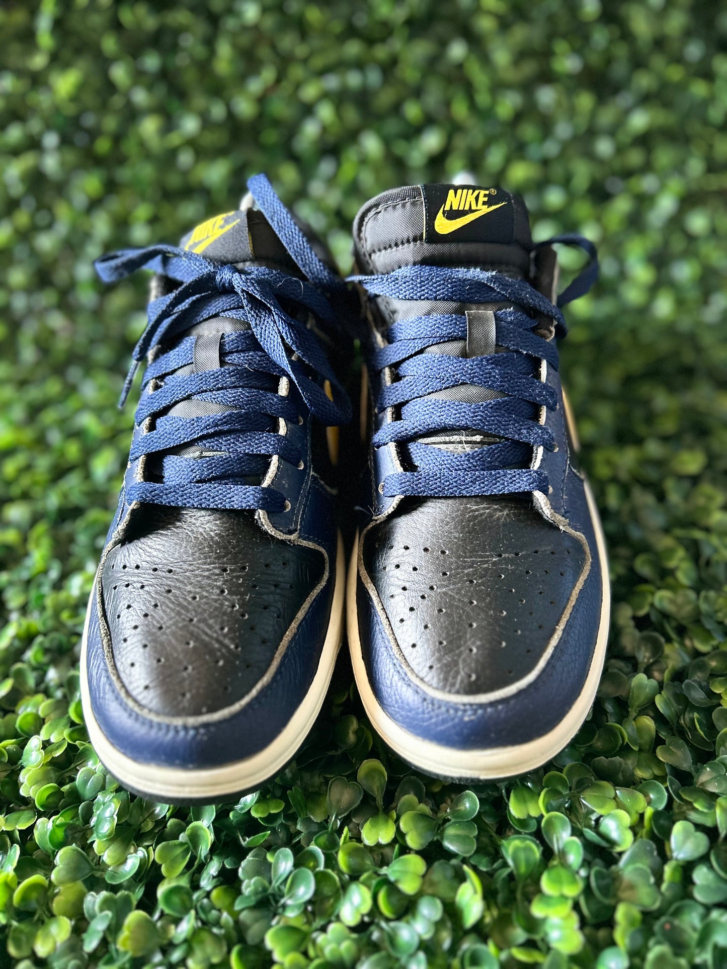 Nike dunk