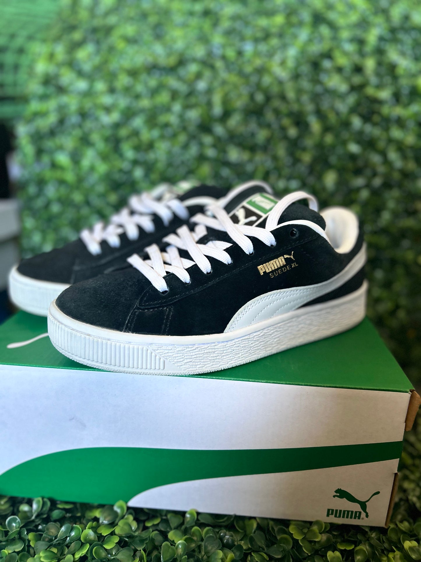 Puma