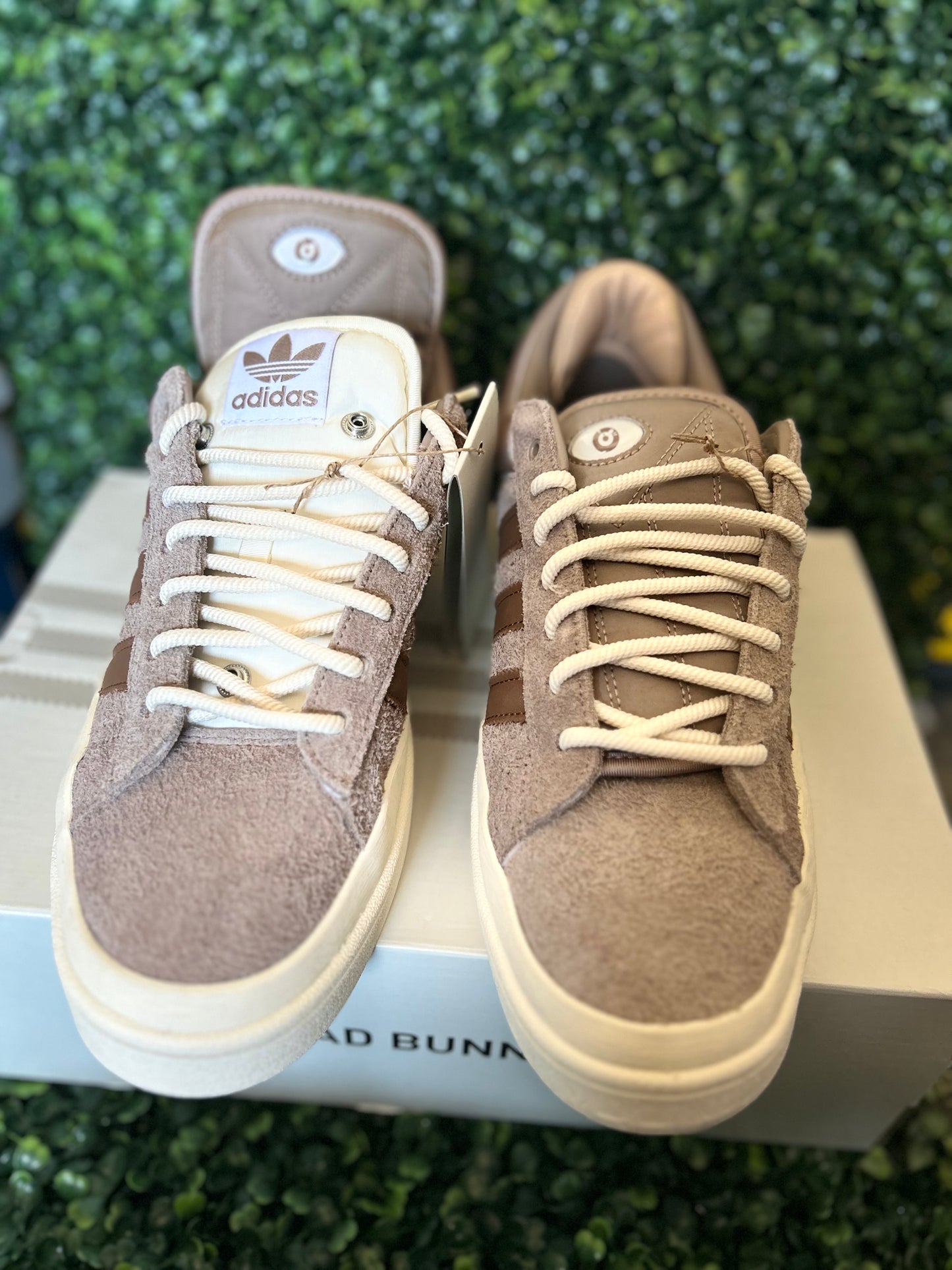 Adidas Bad Bunny campus